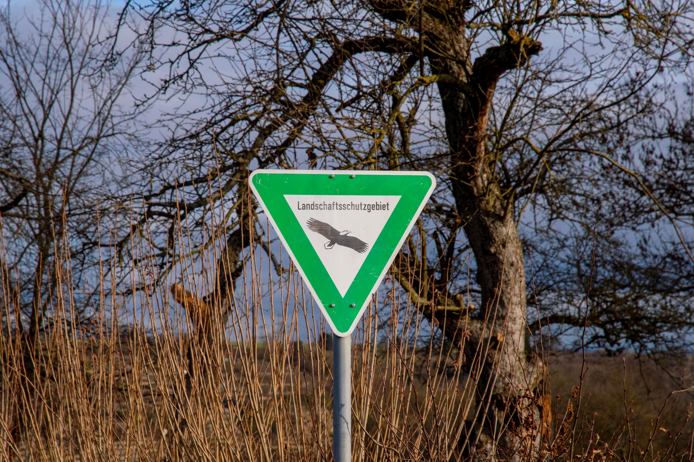Dreieckiges Schild mit grünem Rahmen und der Aufschrift „Landschaftsschutzgebiet“ samt Adler mitten in der Natur.