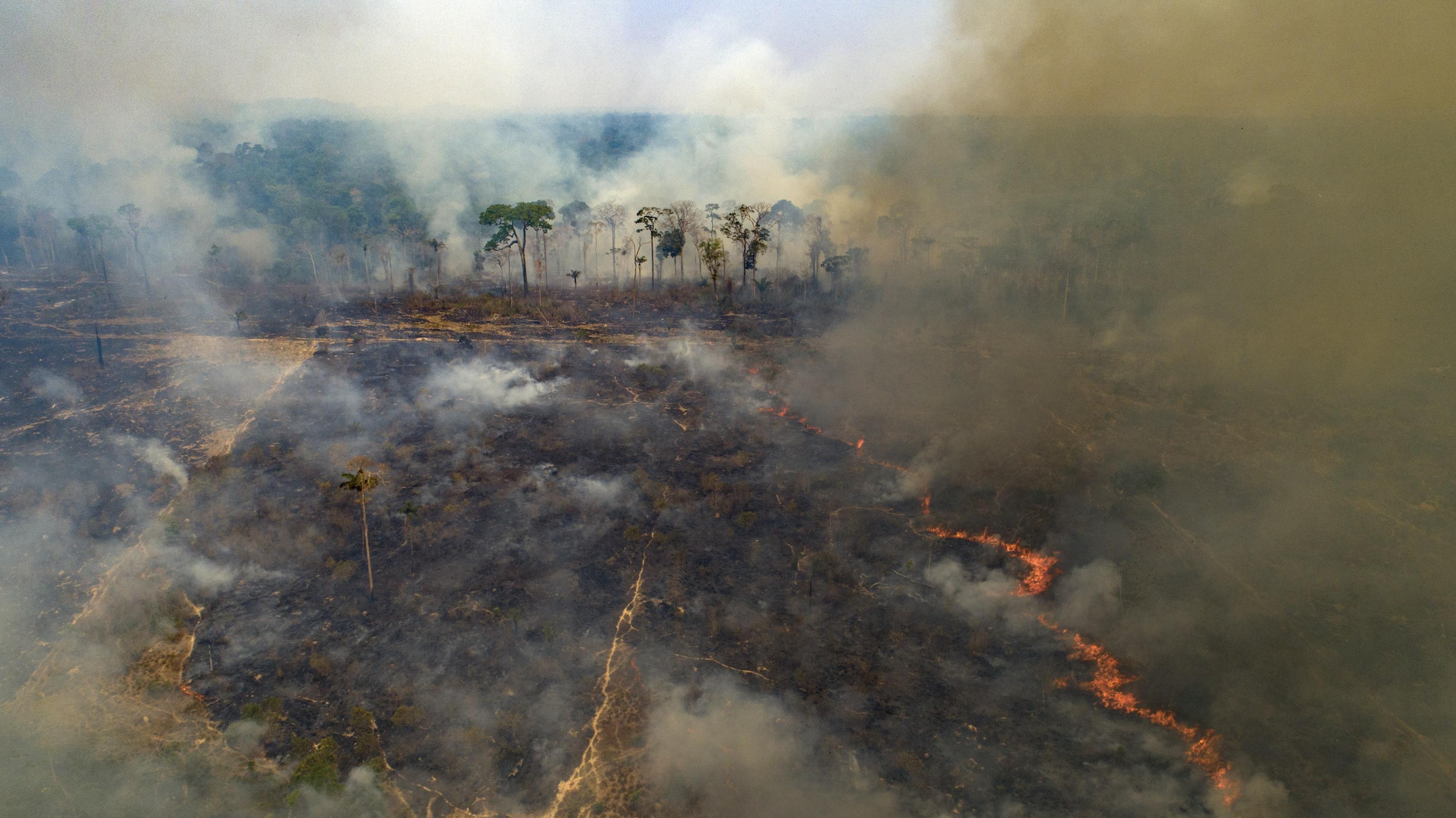 Brennender Wald in Brasilien.