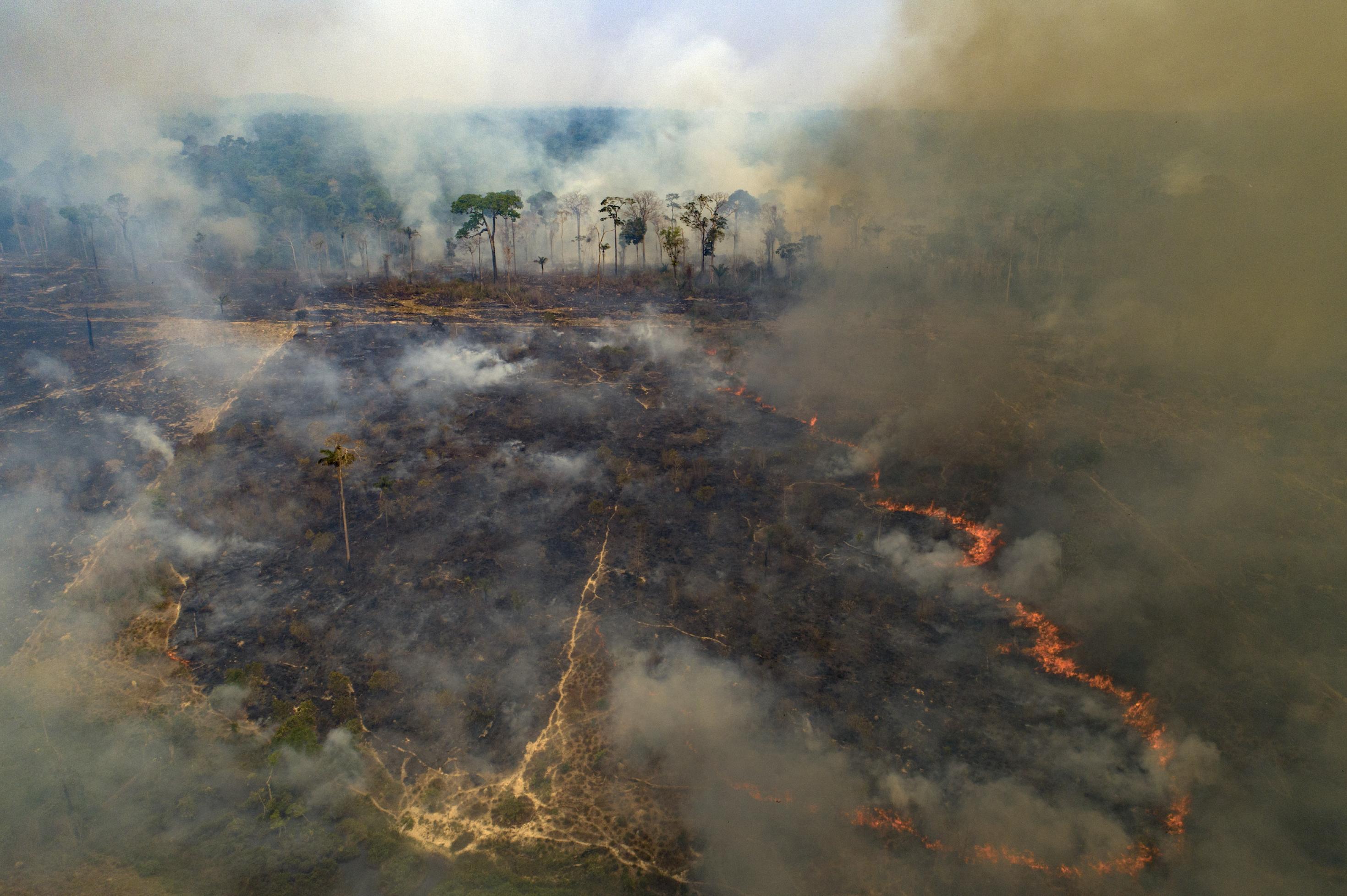 Brennender Wald in Brasilien.