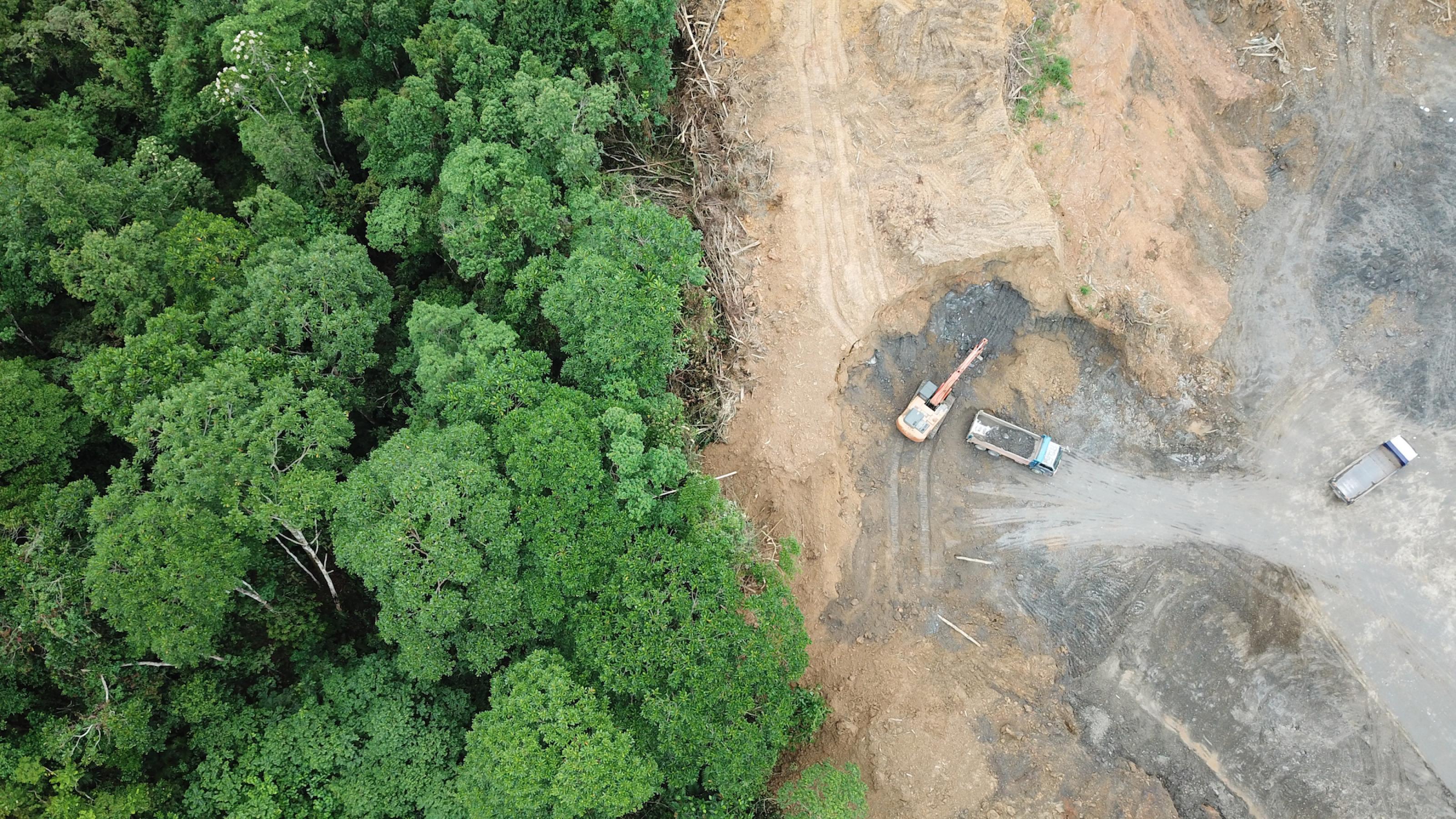 Es handelt sich um ein Luftbild, das auf der linken Seite intakten tropischen Regenwald und auf der rechten Seite eine leere Fläche mit Baggern und Lastwagen zeigt. Dargestellt wird Waldzerstörung in Malaysia, um Platz für Ölpalmenplantagen zu schaffen.