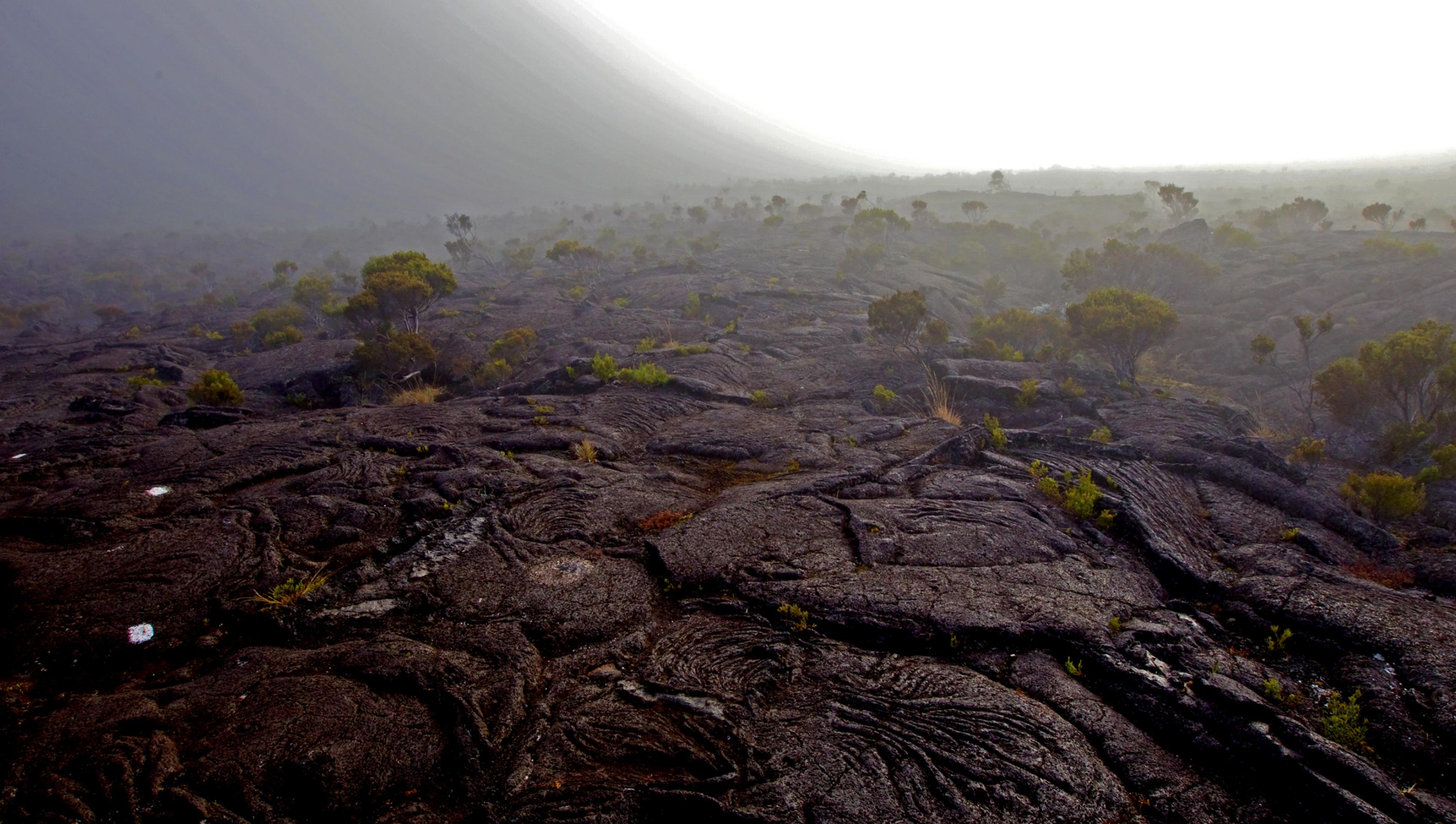 Ein Lavafeld auf La Reunion im Morgennebel