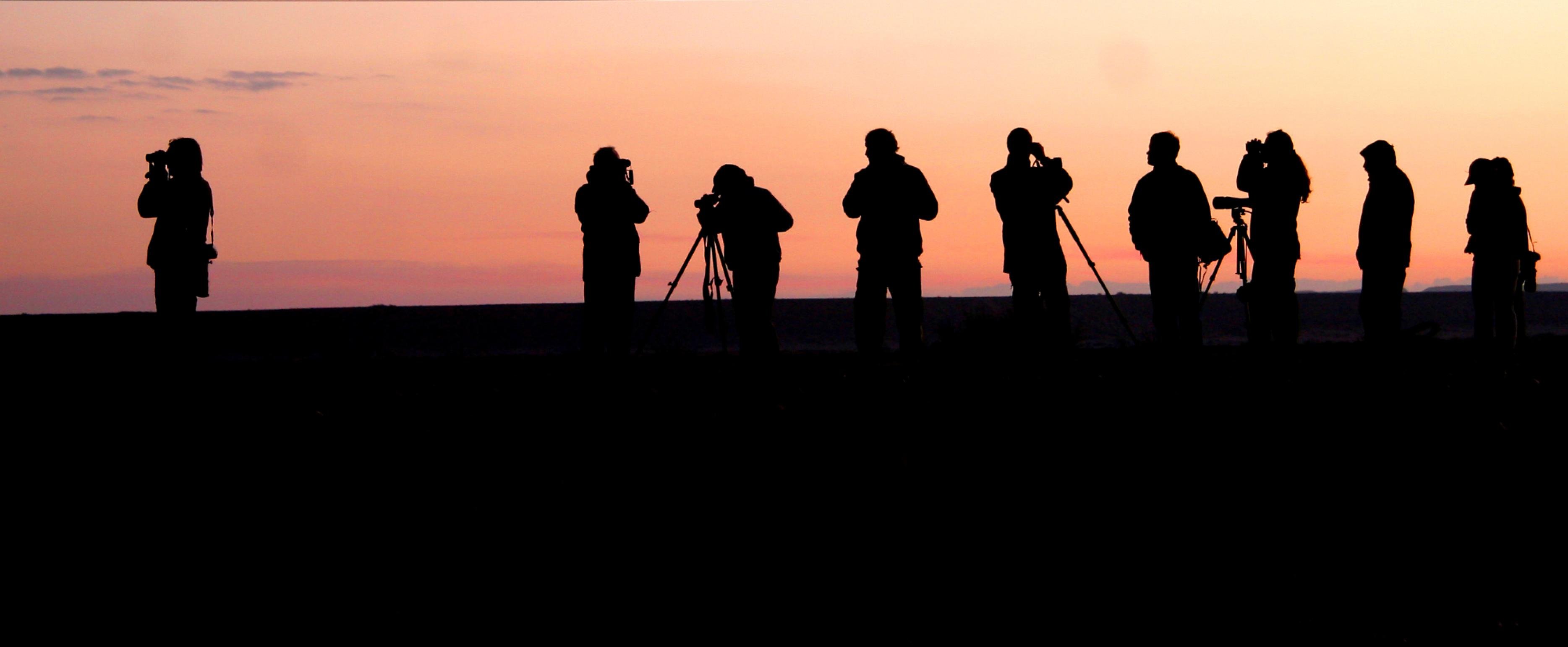 Eine Gruppe Vogelbeobachter als Silhouetten zu erkennen im Morgengrauen