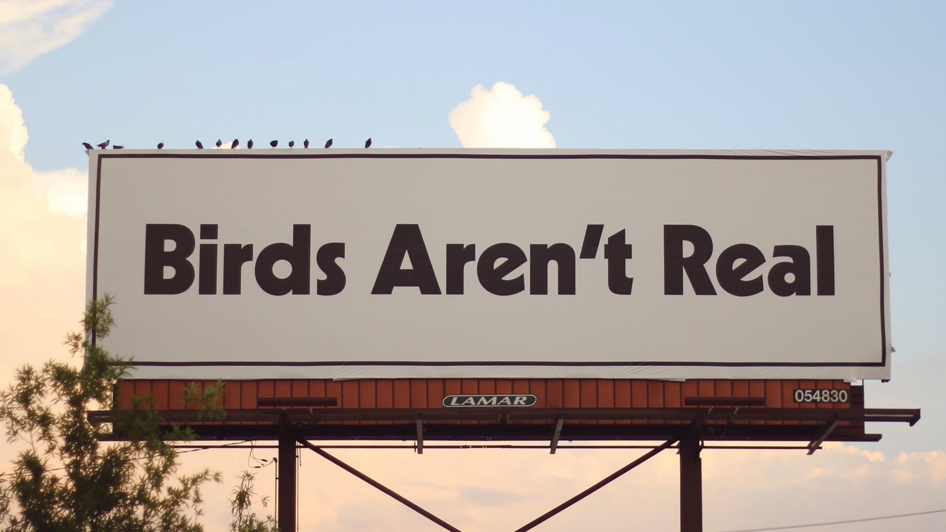 Große Werbetafel mit der Aufschrift „Birds aren't real“, auf der echte Vögel sitzen.