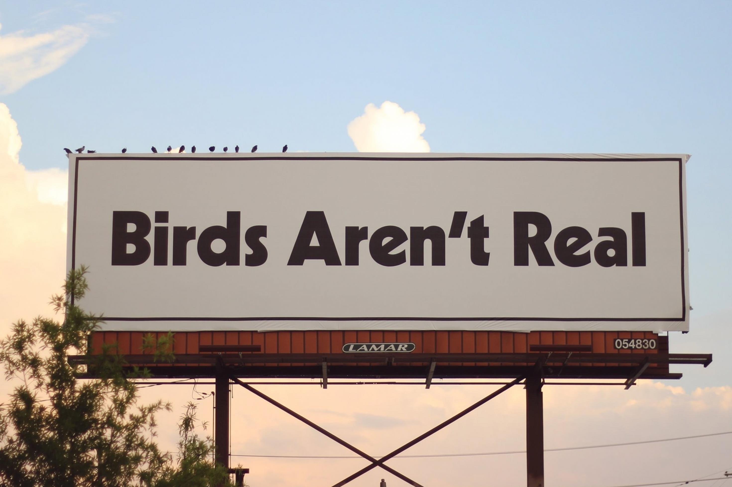 Große Werbetafel mit der Aufschrift „Birds aren't real“, auf der echte Vögel sitzen.