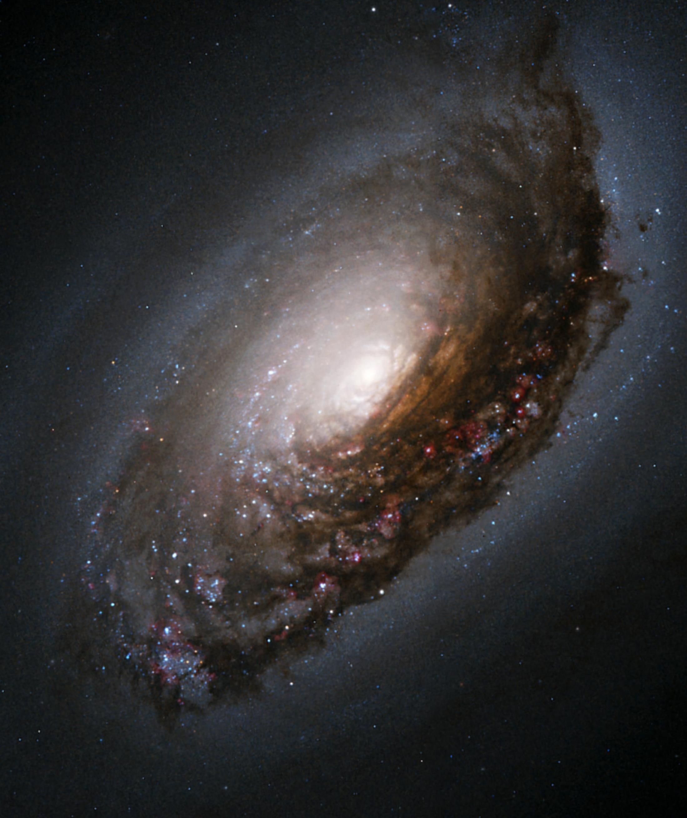 In der Aufnahme der Black-Eye-Galaxie M 64, etwas von der Kante betrachtet, verdunkeln Staubregionen auf einer Seite den Blick.