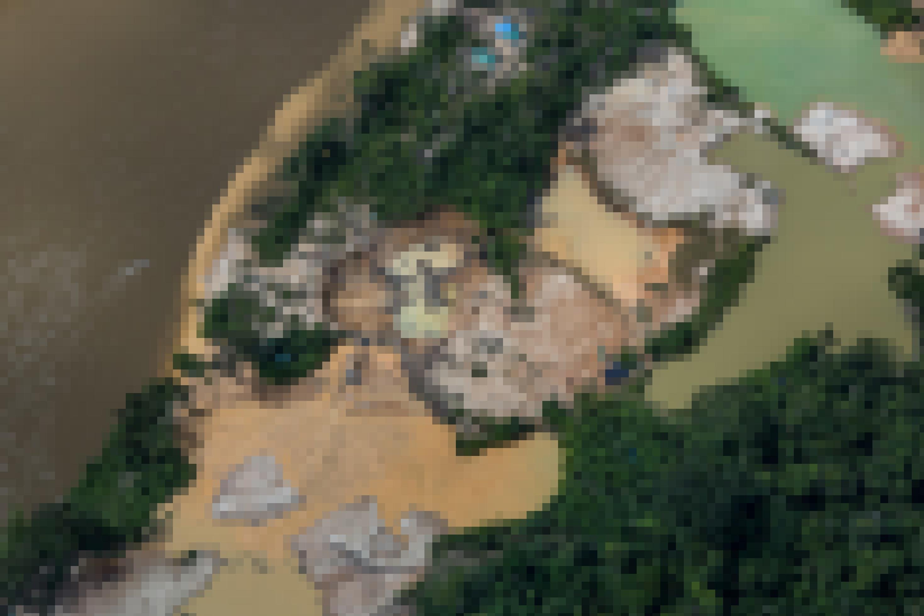 Luftansicht des Uraricoera-Fluss in Nordbrasilien. Neben dem Flusslauf haben die Goldgräber den Wald abgeholzt und kraterartige Landschaften und mit Chemikalien vergiftete Lagunen angelegt, wo sie die Erde nach Gold durchwühlen.