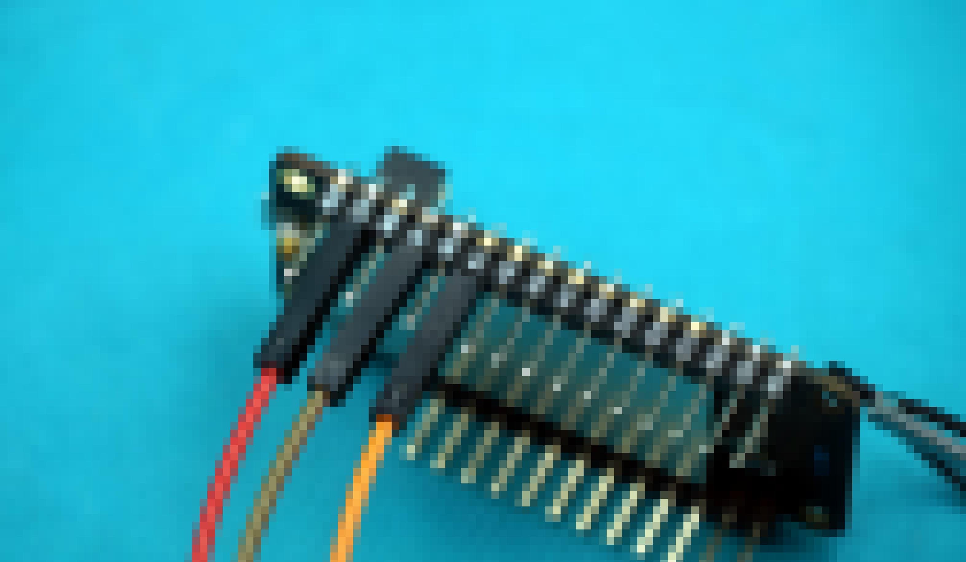 Jumper Kabel am Mikrocontroller