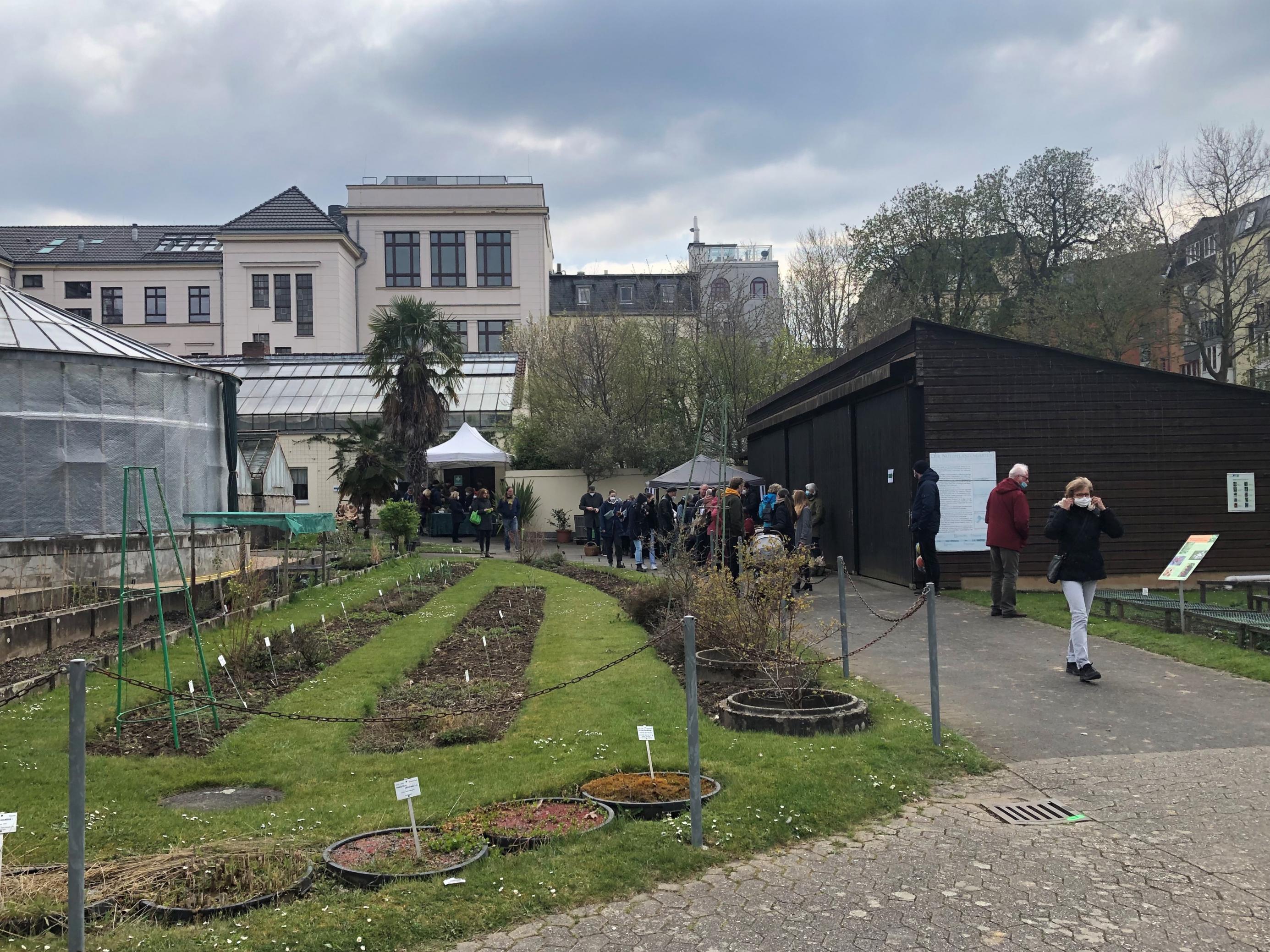 Samenfestes Saatgut gibt es auf Saatgutbörse im Nutzpflanzengarten der Botanischen Gärten in Bonn.