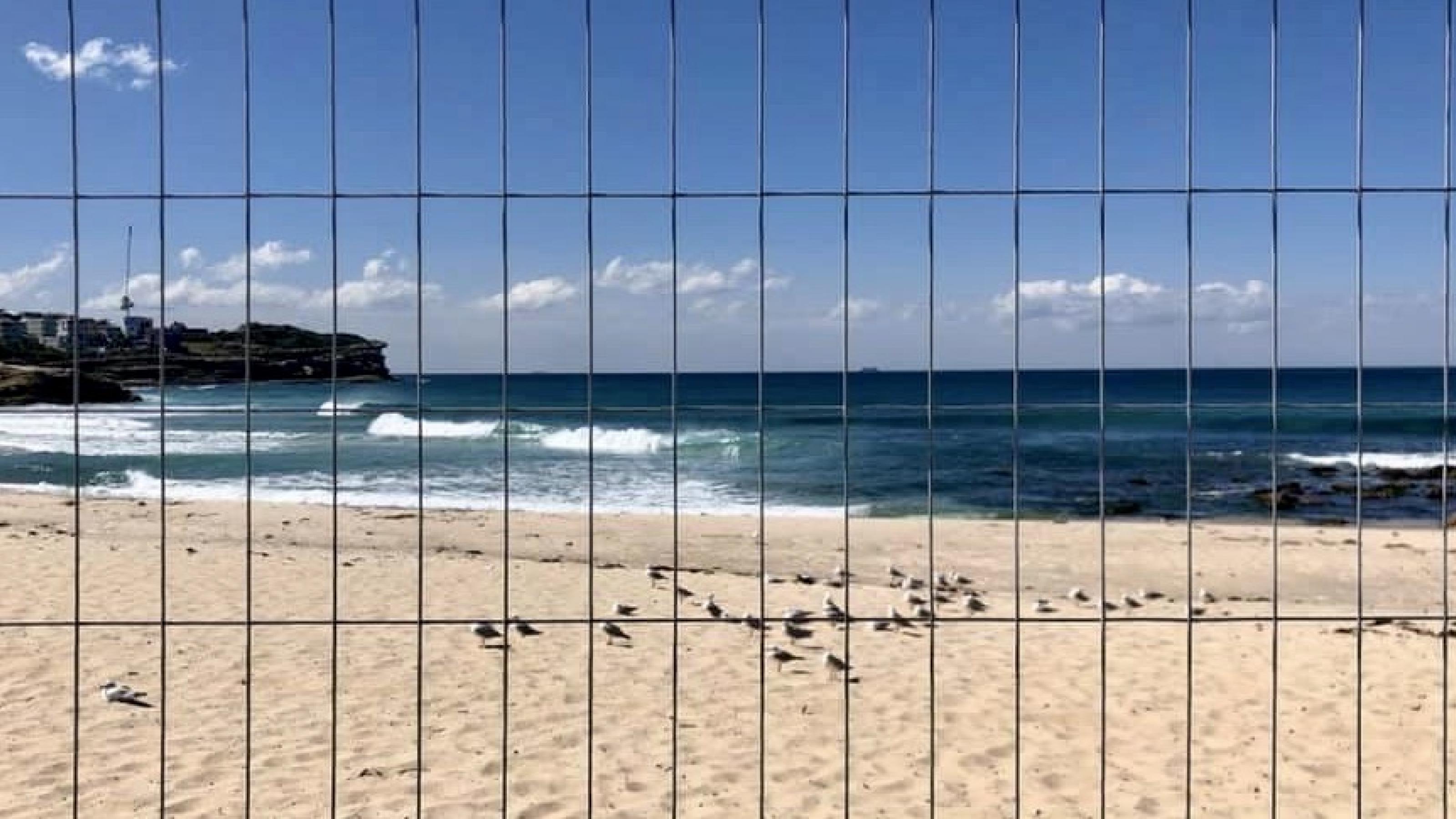 in Bronte Beach in Sydney sitzen Möwen auf einem verlassenen Strnd hinter Gittern
