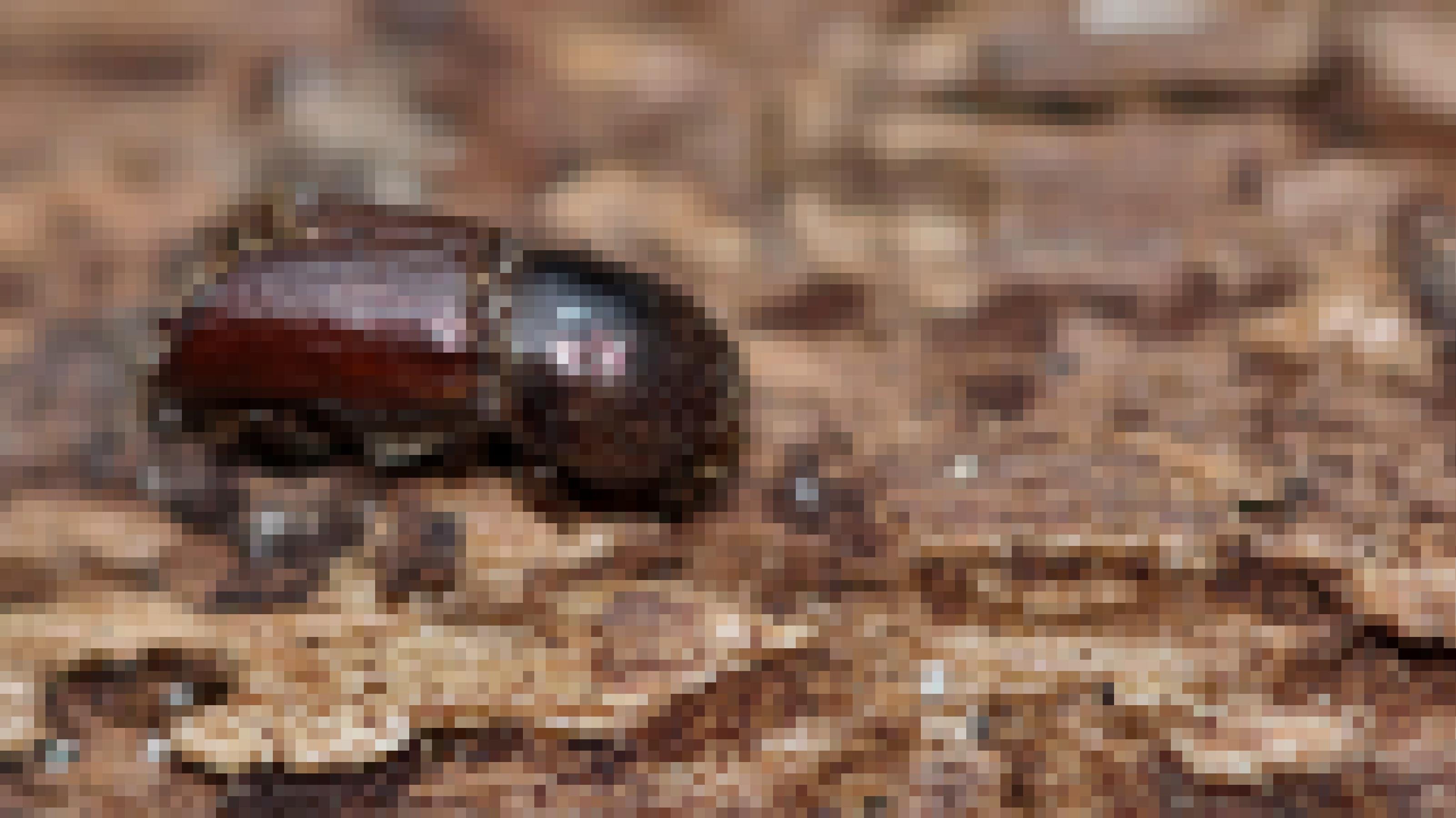 Rötlich-brauner Käfer sitzt auf holzigem Untergrund, der deutliche Fraßspuren zeigt. Auf seinen Flügeldecken am Rücken hat der Käfer perlenschnurartig aufgereihte Löcher. Ein wuchtiger Halsschild überragt den unscheinbaren Käferkopf.