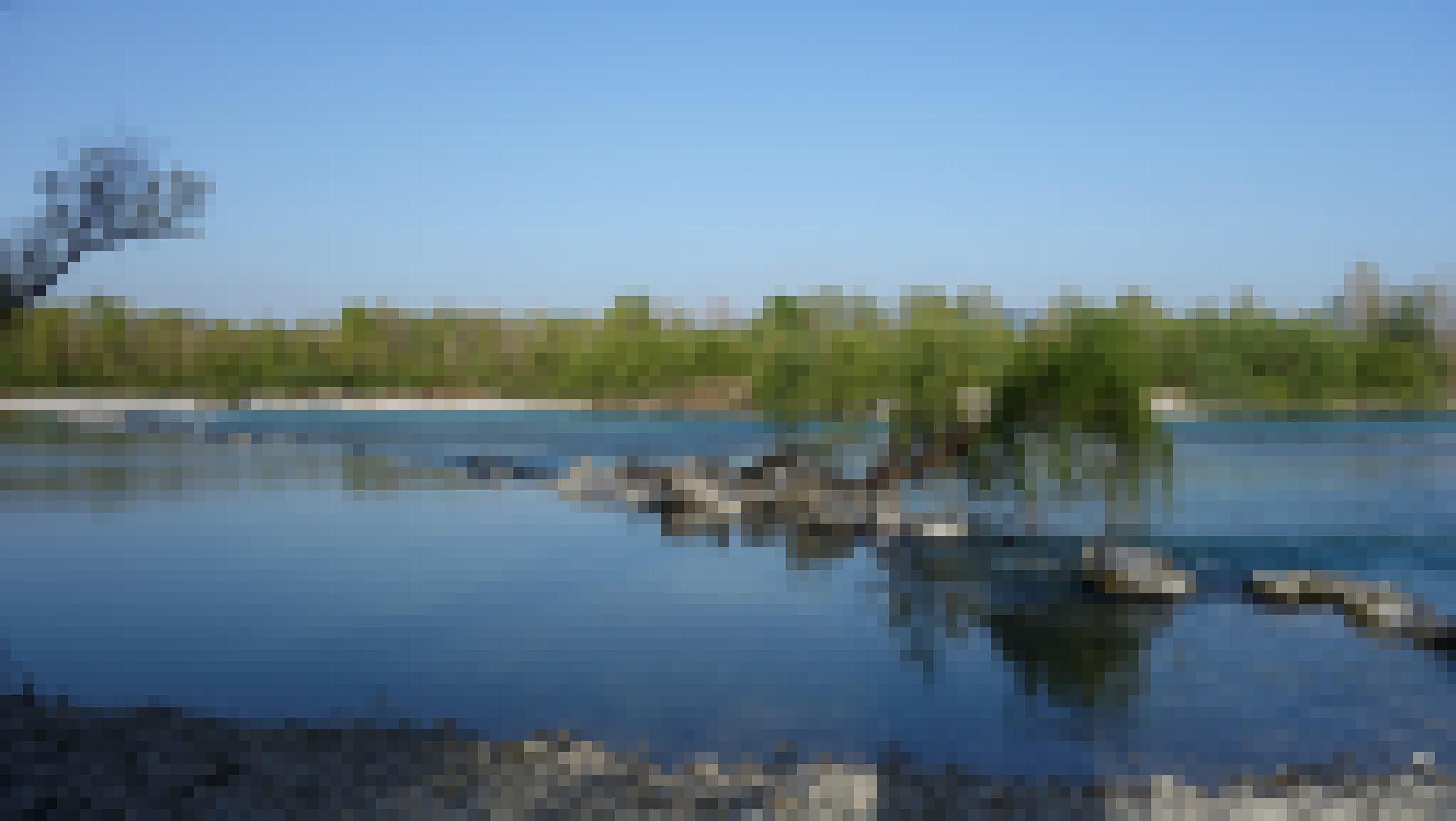 eher ruhiger Fluss, Steine in der Mitte, ein kleiner Baum, im Hintergrund viele Bäume