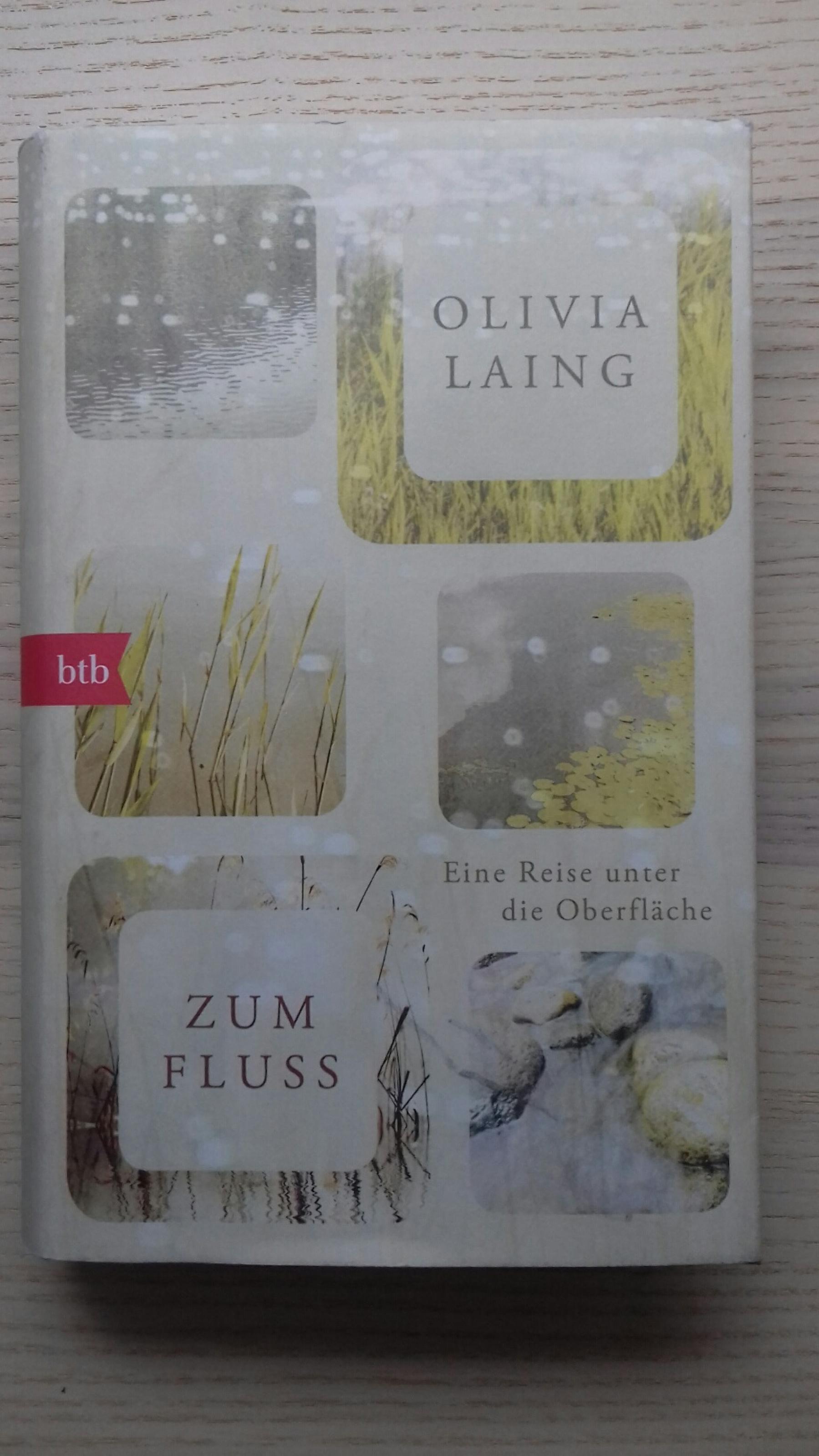 Buchcover Olivia Laing „Zum Fluss – ein Reise unter die Oberfläche“