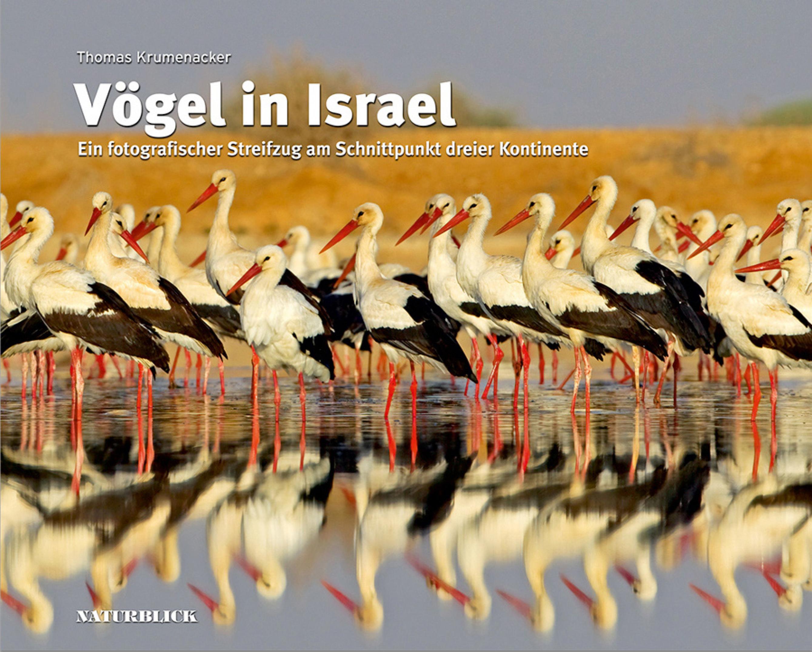 Das Buchcover von Vögel in Israel, es zeigt eine Gruppe Weißstörche