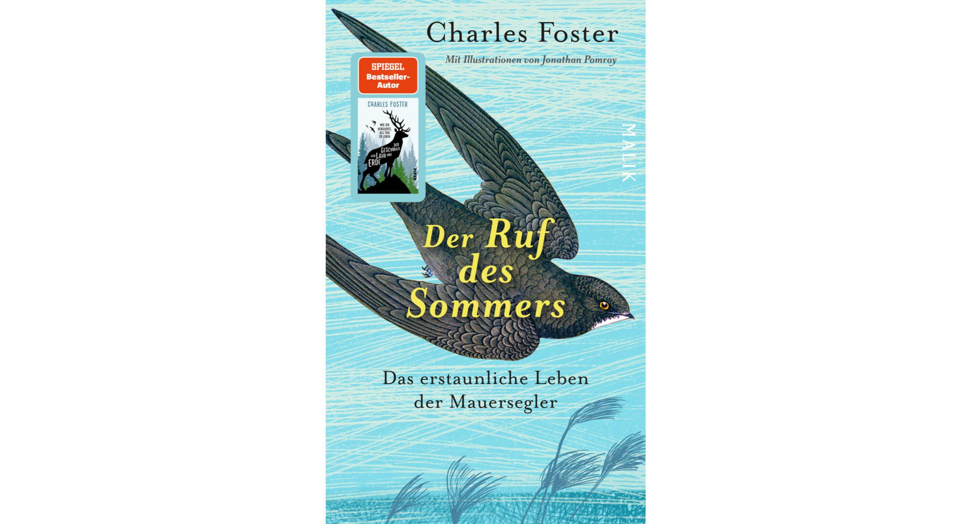 Das Cover des Malik-Buchs „Der Ruf des Sommers“ zeigt einen gezeichneten Mauersegler auf türkisem Grund.