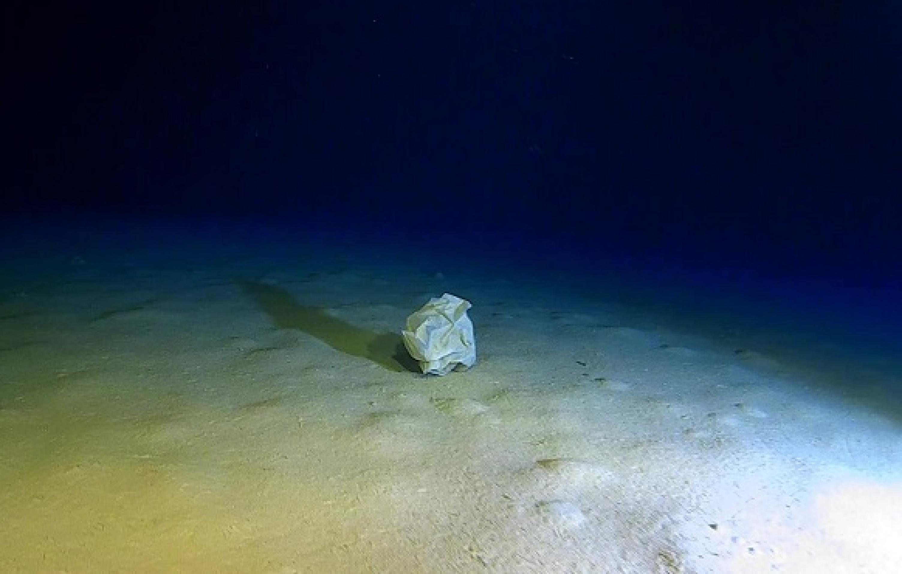 Foto eines kargen Meeresbodens im Dämmerlicht. Mittig ist eine zusammengeknüllte Plastiktüte zu sehen.
