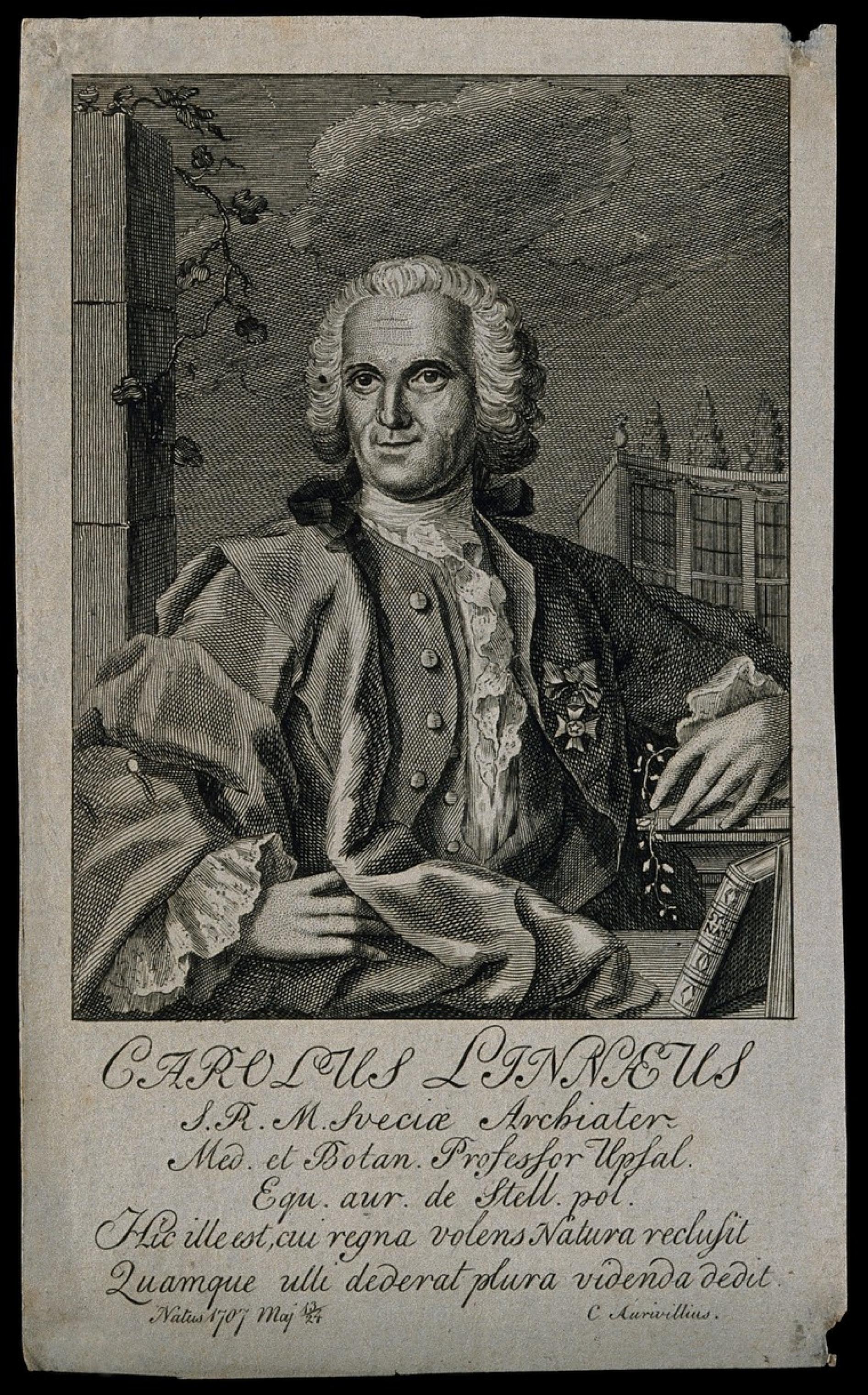 Der schwedische Naturforscher Carl von Linné