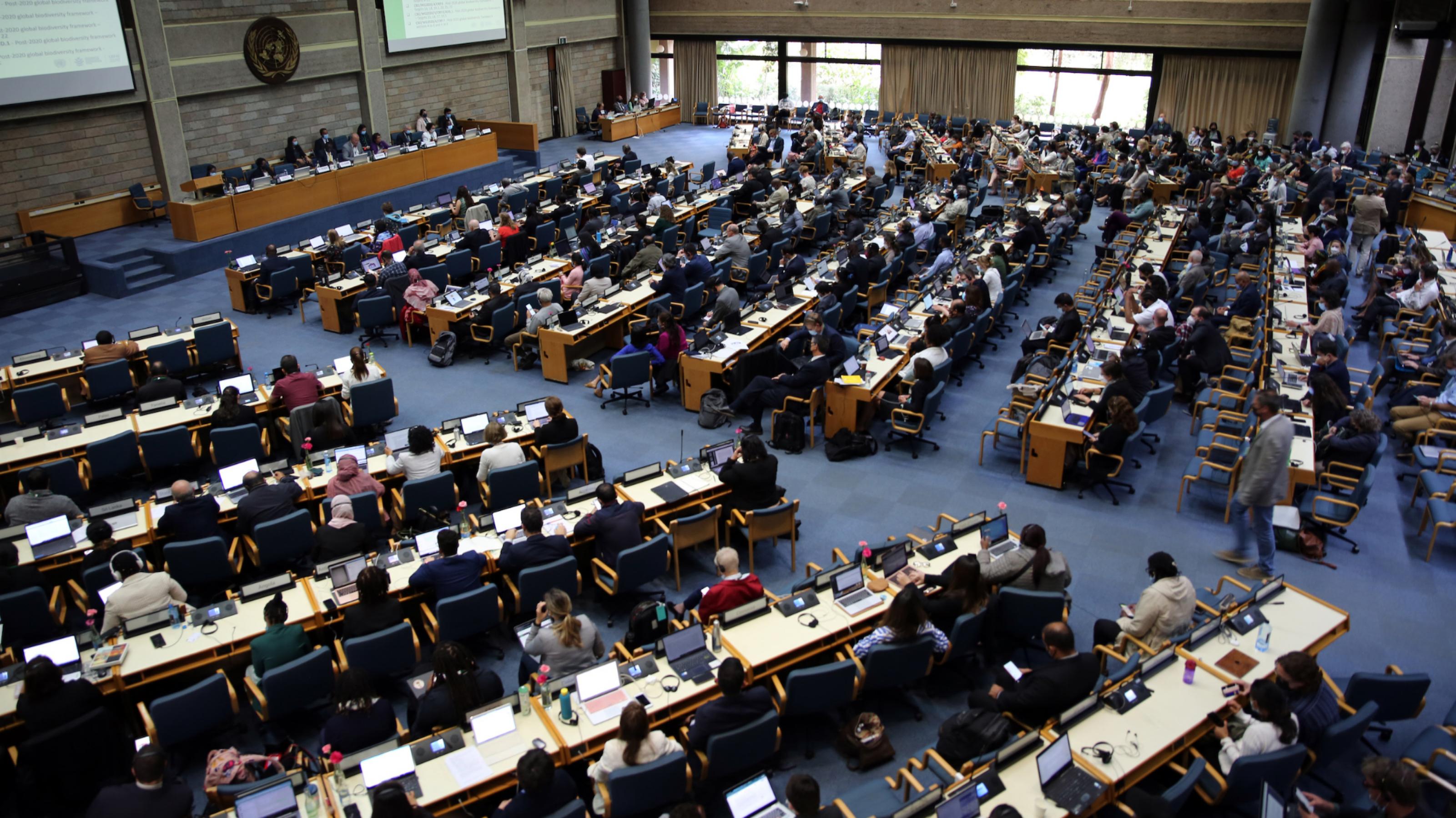 Blick in das Plenum des Verhandlungssaals in Nairobi