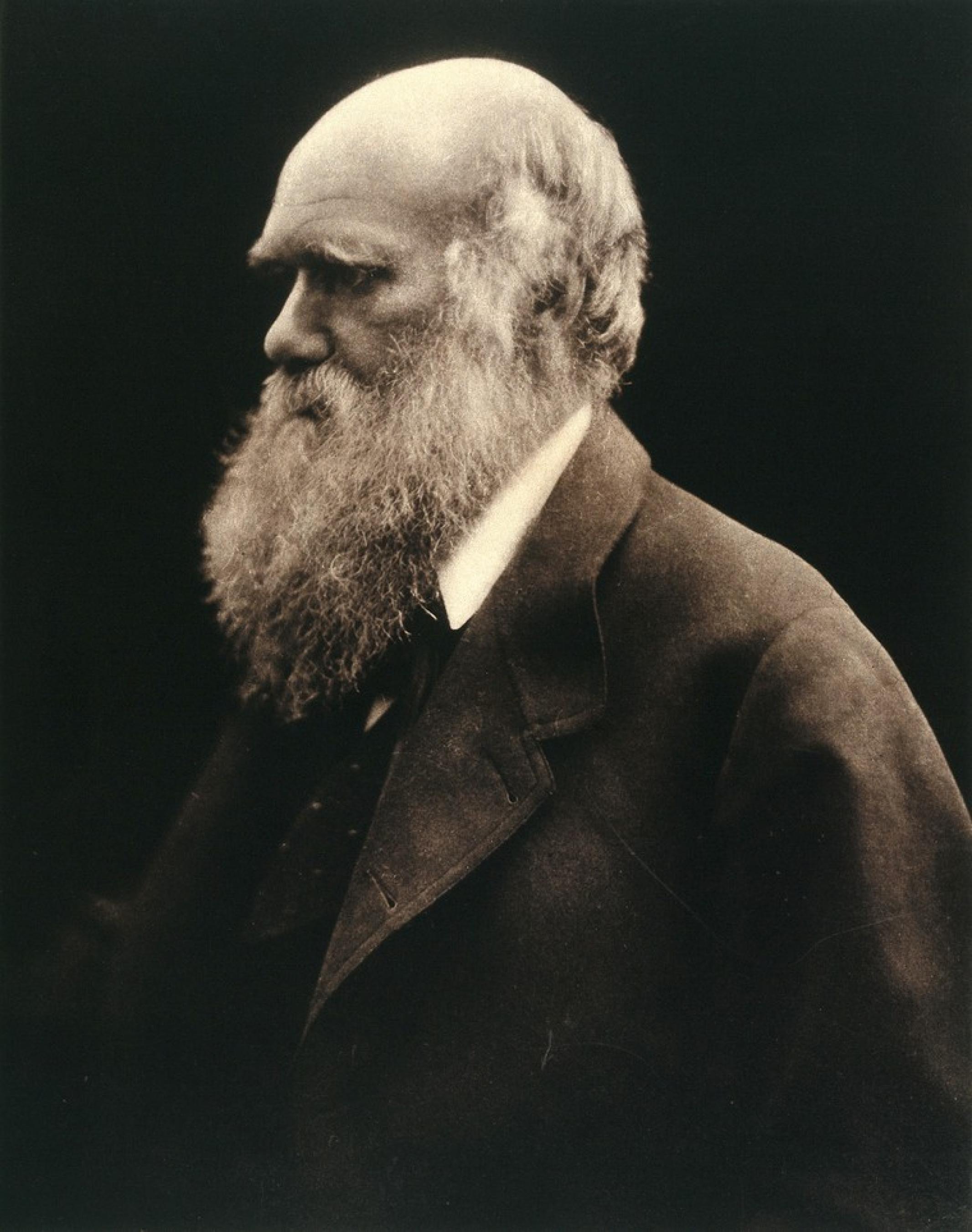 Charles Darwin lebte von 1809 bis 1882.