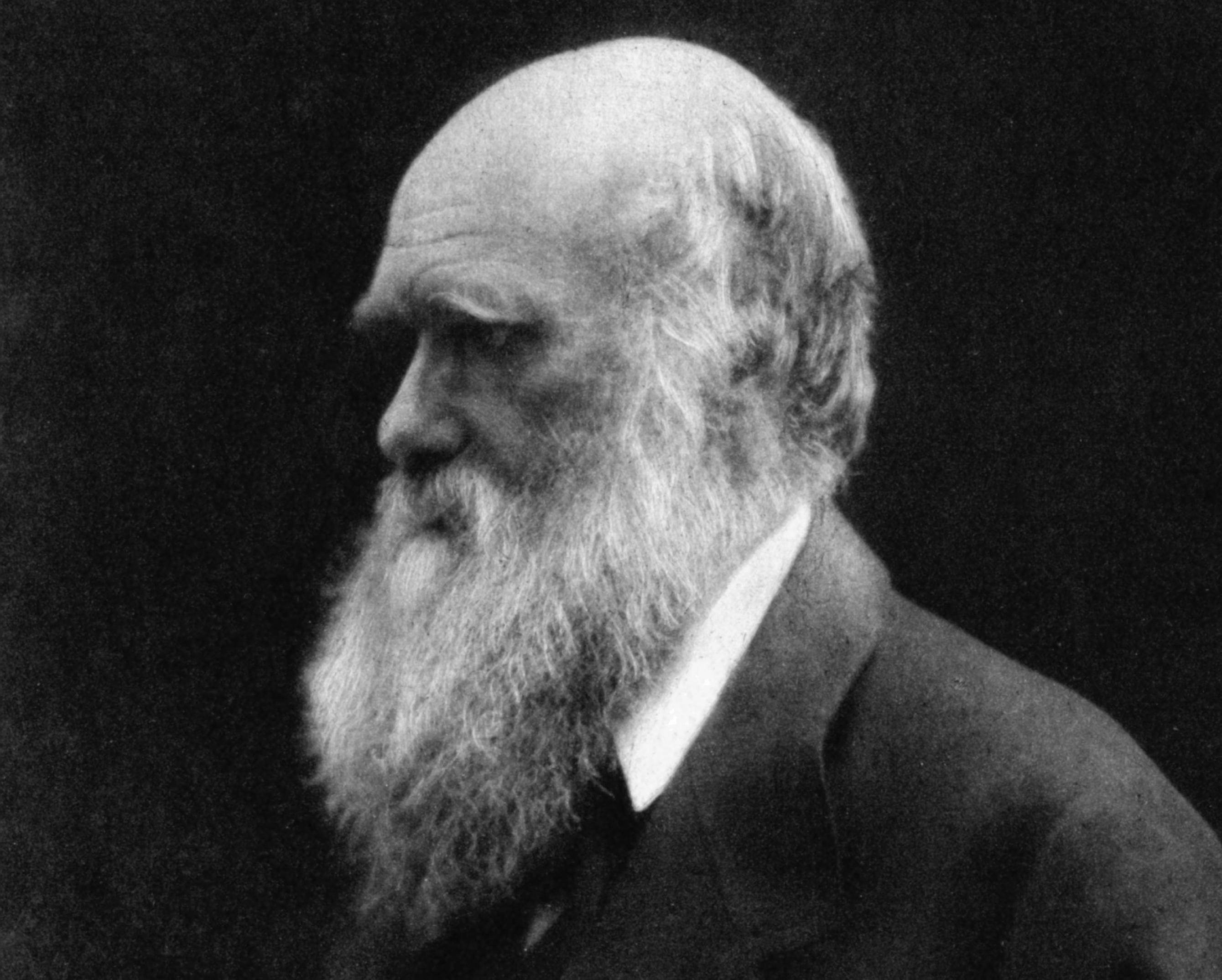 Gezeigt wird ein Foto des britischen Naturforschers Charles Darwin in höherem Alter. Darwin fallen die Ähnlichkeiten zwischen Mensch und Schimpanse auf. Deshalb glaubt er, beide hatten einst einen gemeinsamen Vorfahren gehabt. Und weil die heutigen, nächsten Verwandten des Menschen – die Schimpansen – in Afrika leben, müsse auch der gemeinsame Urahn auf dem Schwarzen Kontinent zu finden sein.