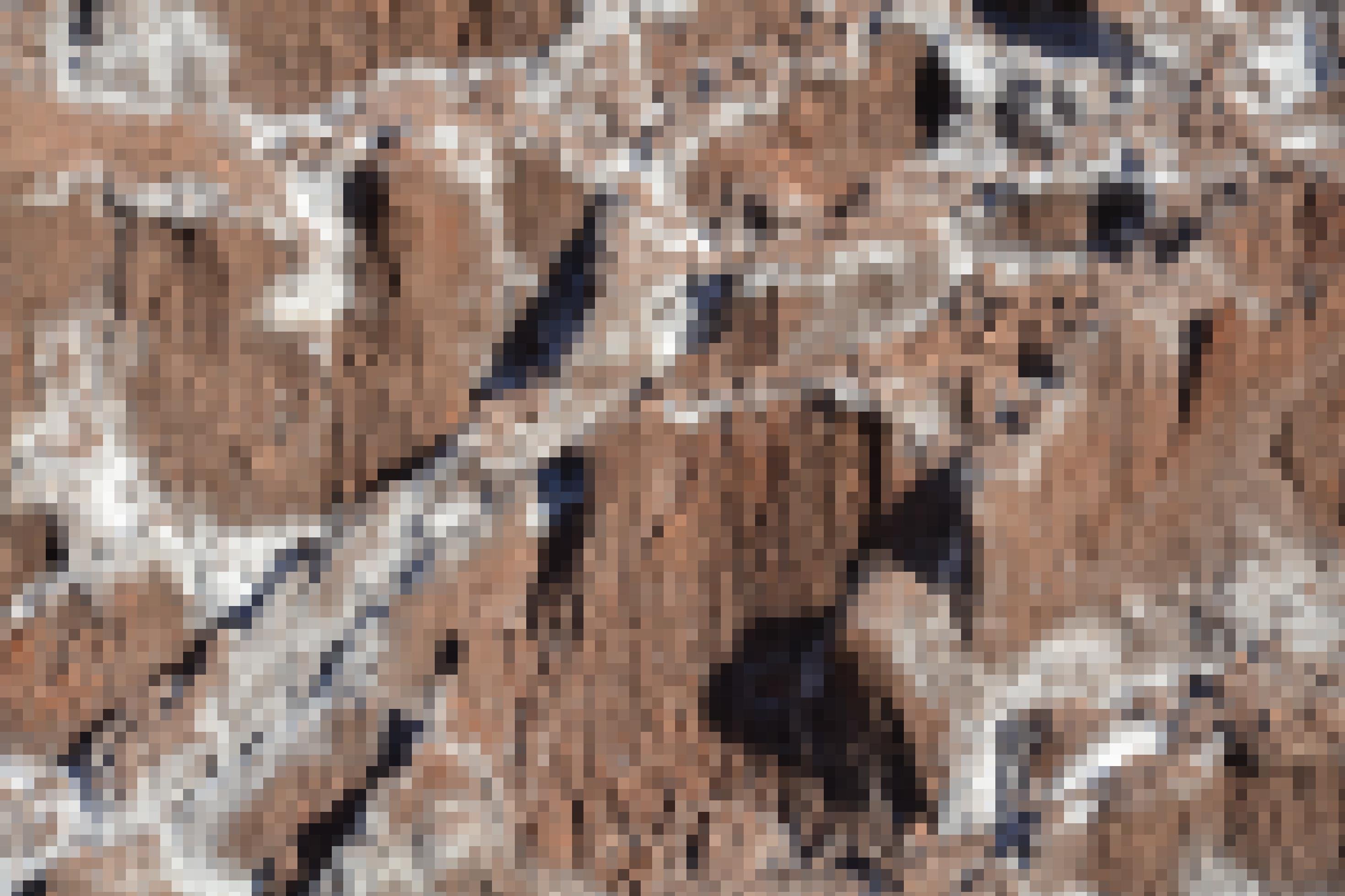 Detailaufnahme, verwitterte Steine mit Salzkruste. Chile, Atacama-Wüste.