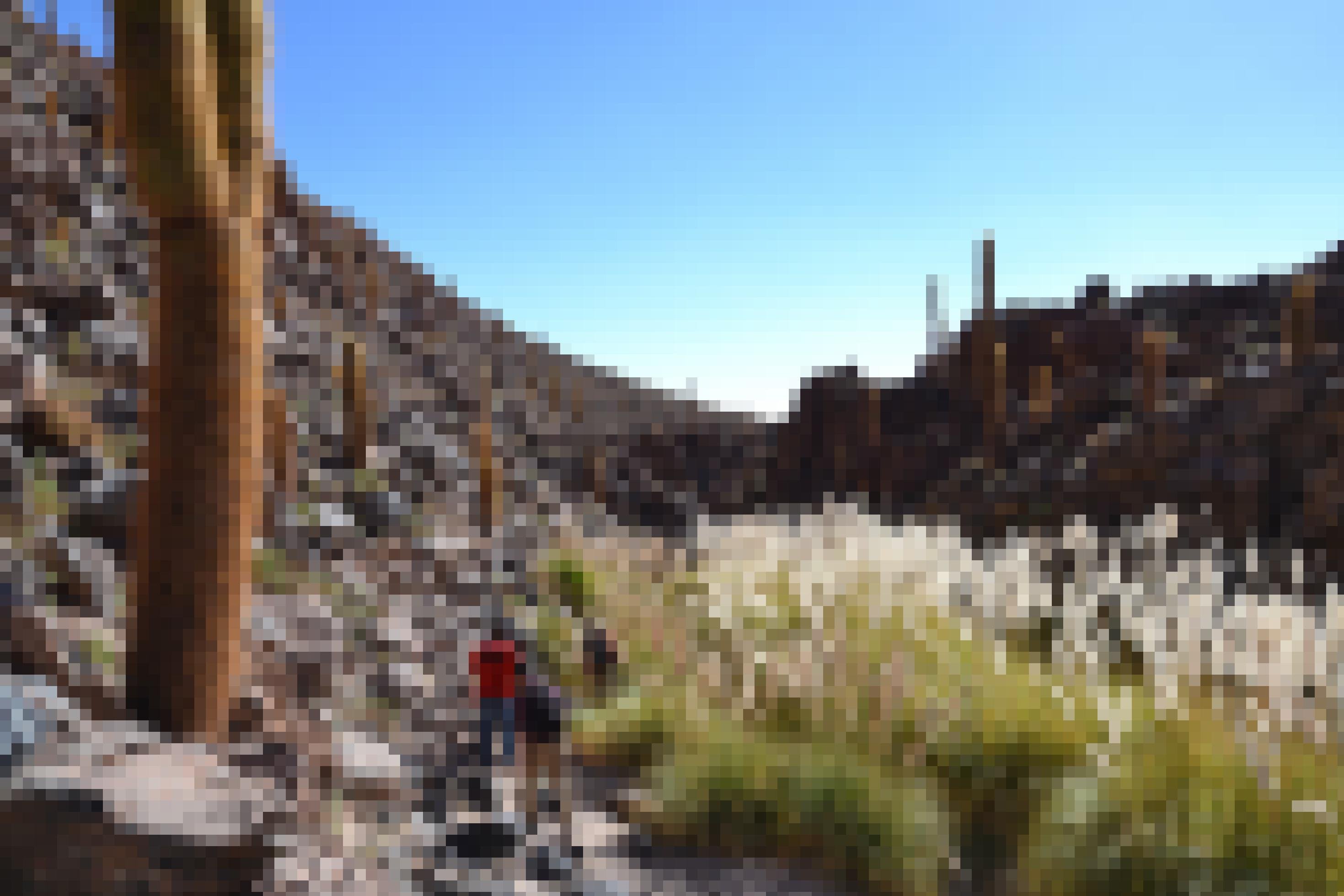 Kaktus im Vordergrund, Touristen laufen durch ein Tal, im Hintergrund Berge. Atacama-Wüste, Chile.