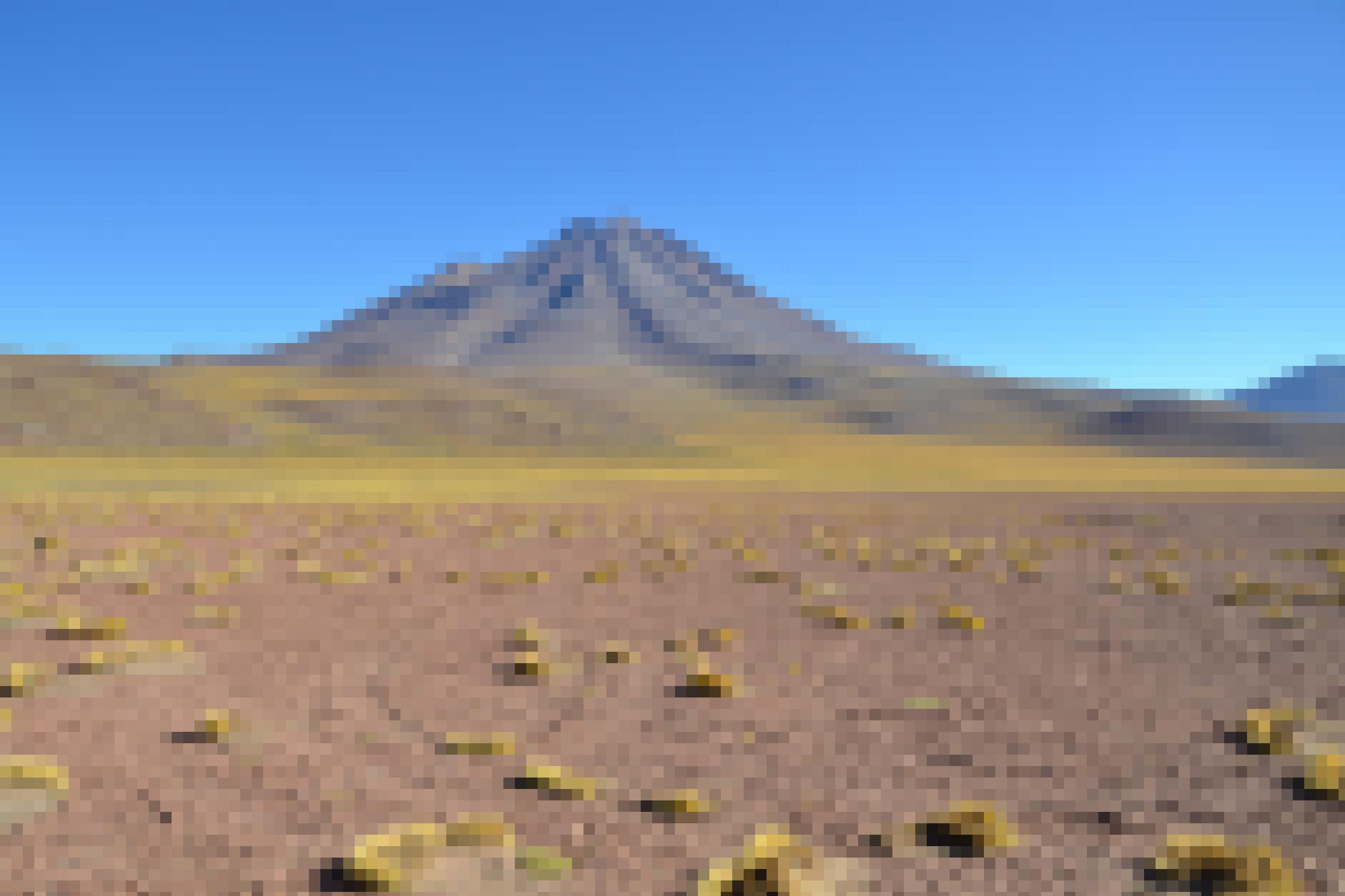 Vereinzelte gelbe Grasbüschel im Vordergrund, inmitten von Sand, im Hintergrund Silhoutte der Anden, Chile, Atacama-Wüste.