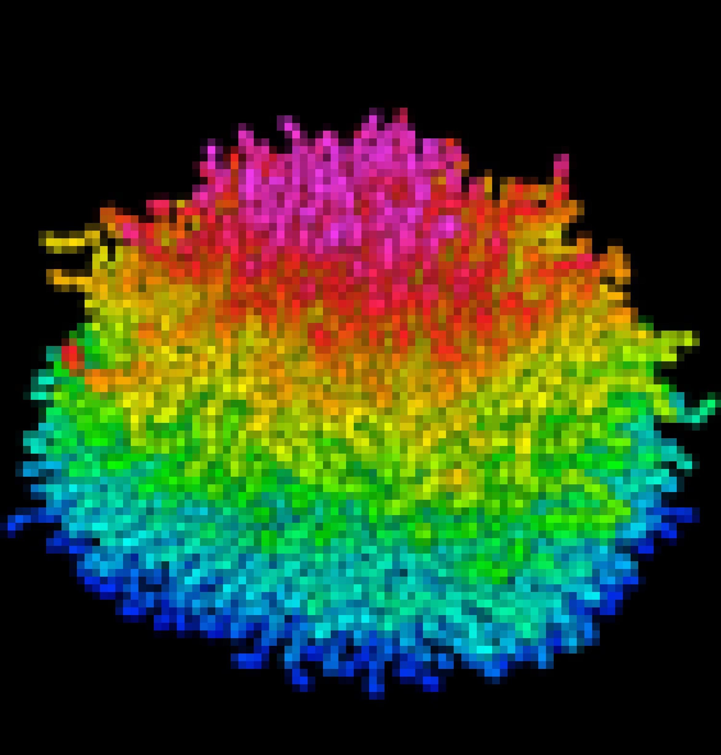 Simulation eines Cholera-Biofilms, in dem stäbchenförmige und in unterschiedlichen Farben markierte Bakterien eine kugelige Struktur ergeben.