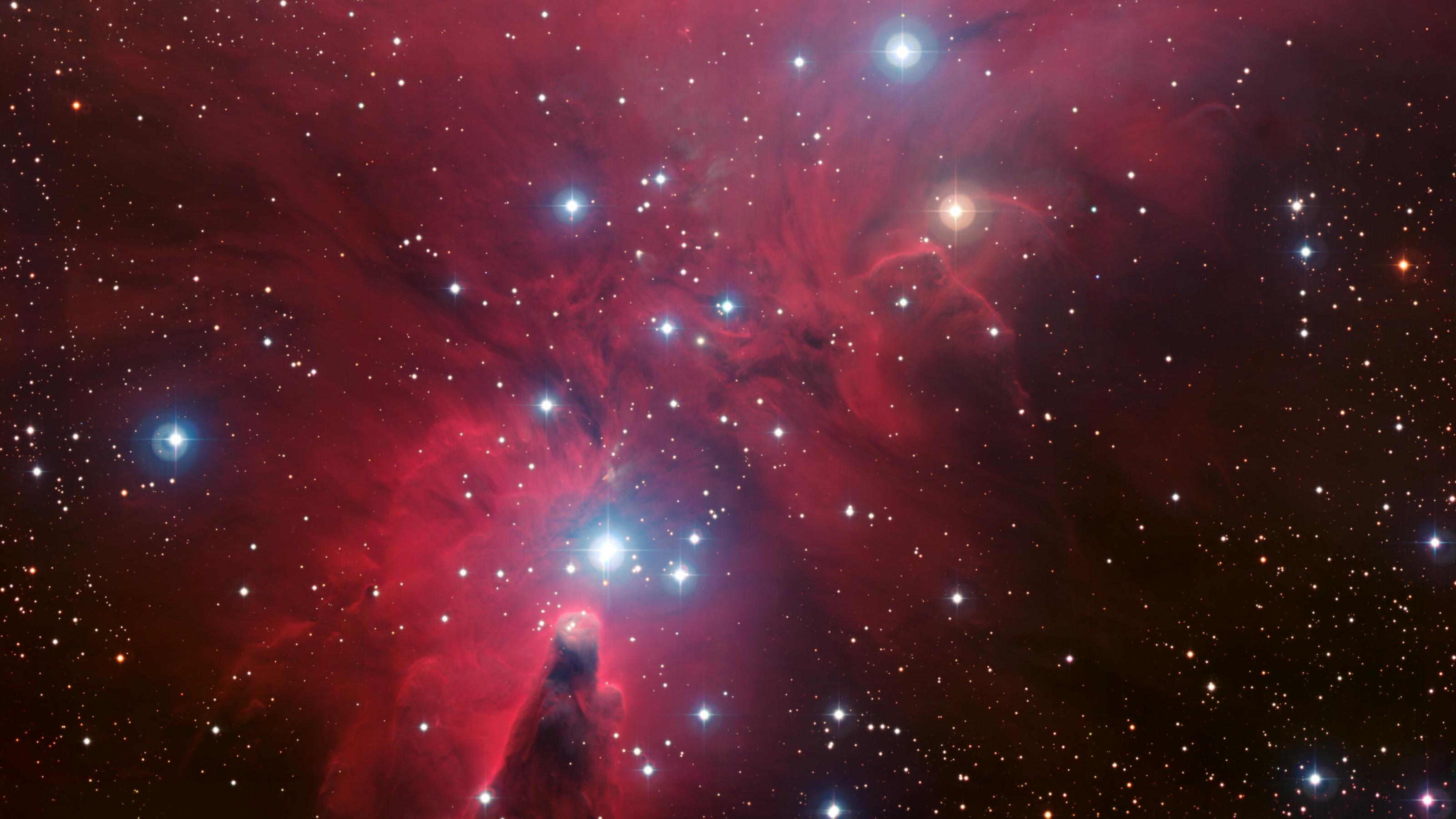 Eine rötliche Nebelregion mti interstellarer Materie bezeichnet als NGC 2264, im Vordergrund prangen helle bläuliche Sterne.