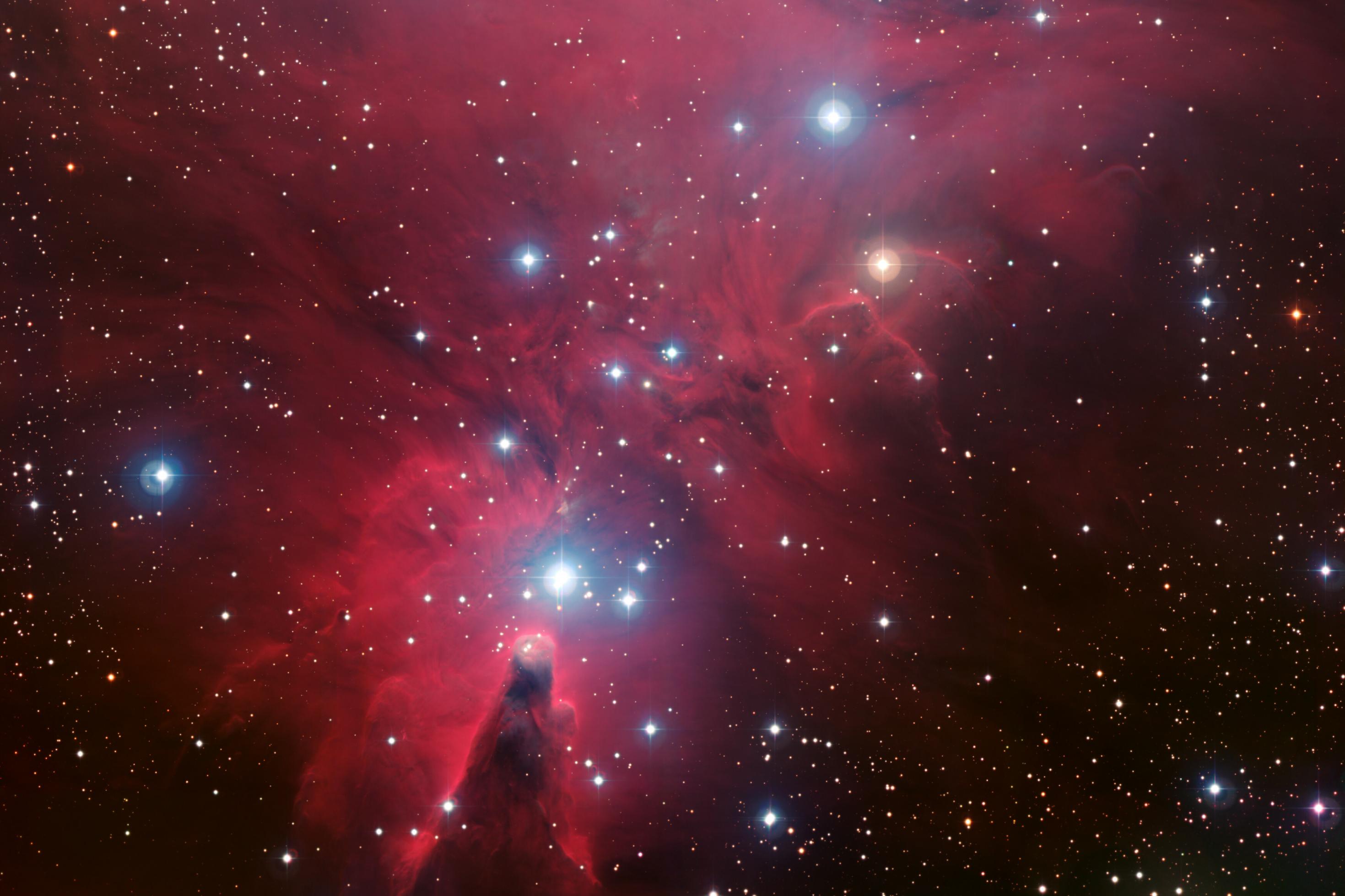 Eine rötliche Nebelregion mti interstellarer Materie bezeichnet als NGC 2264, im Vordergrund prangen helle bläuliche Sterne.