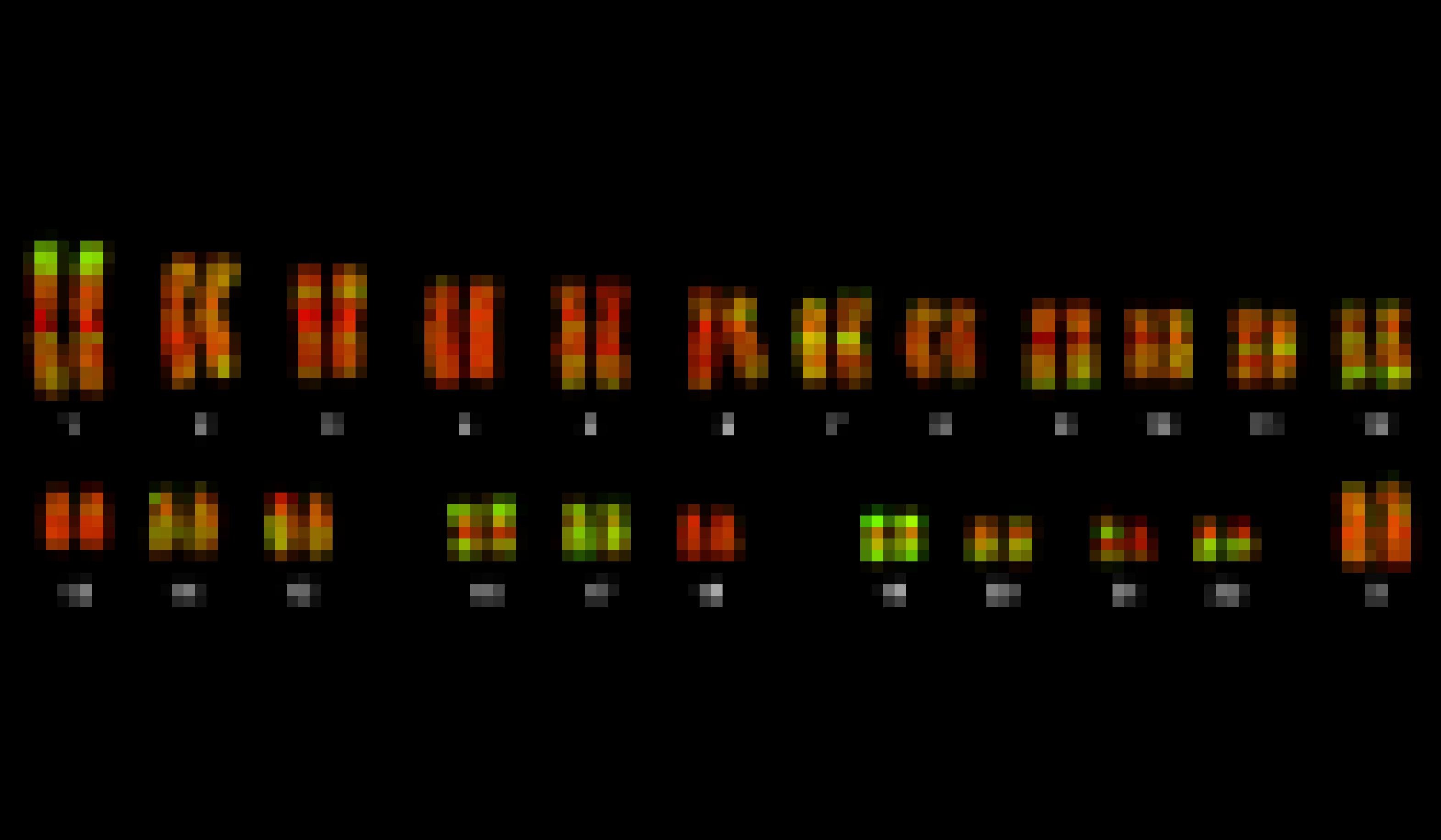 Zu sehen sind 46 nebeneinander angeordnete, leuchtend rot und grün schimmernde Stäbchen auf schwarzem Untergrund. Es sind die Chromosomen des Menschen, in denen das Erbgut organisiert ist. Forscher entdeckten zu ihrem Erstaunen, dass mehr als acht Prozent der DNA gar nicht vom Menschen, sondern von Viren stammen. Die Krankheitserreger haben im Lauf der Evolution ihr eigenständiges Dasein aufgegeben und sich in den menschlichen Genbestand integriert. Das war für den Menschen kein Nachteil, denn einige der Viren-Gene haben für den Menschen heute durchaus nützliche Eigenschaften.