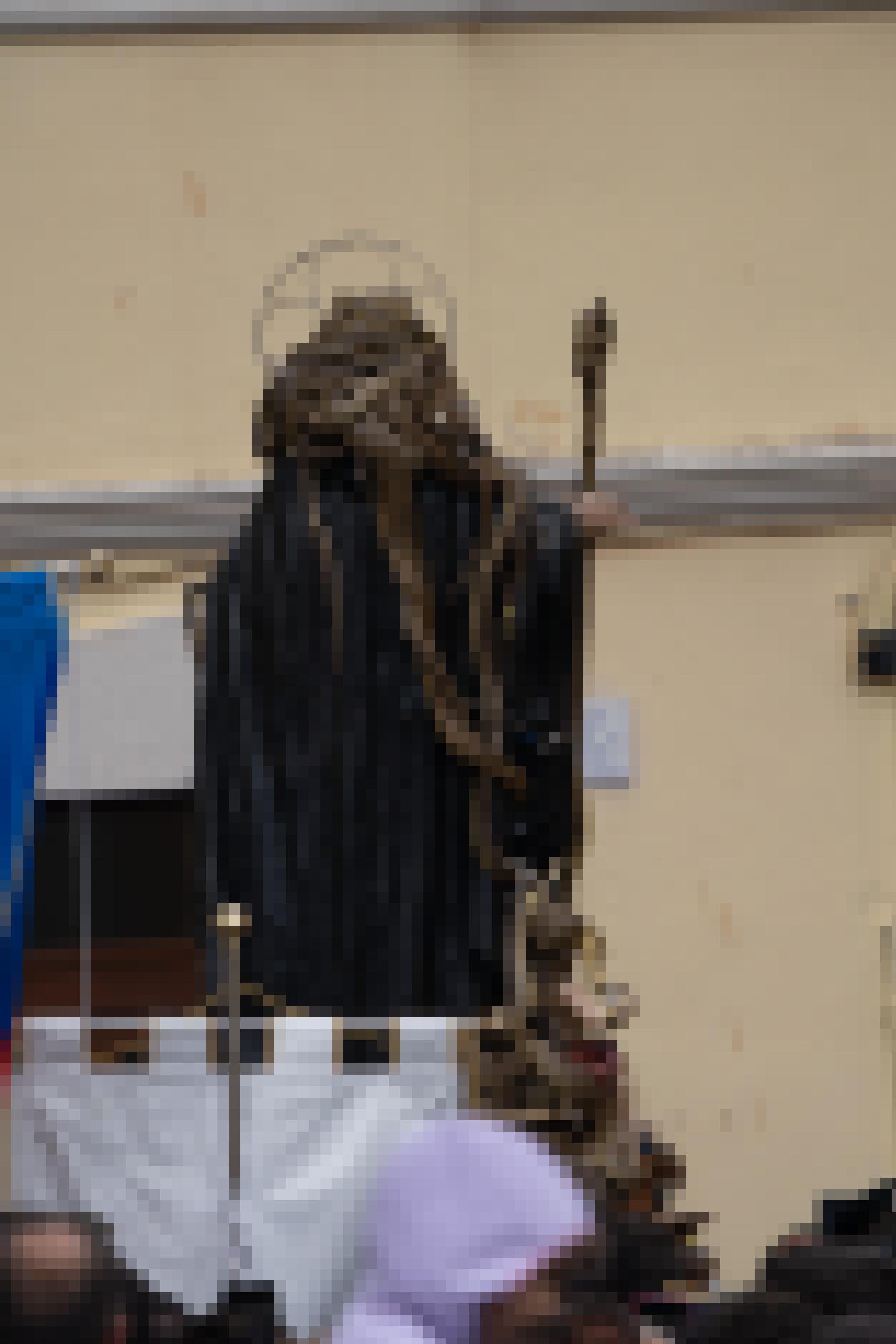 Foto der Statue des Heiligen Domenico, der von Nattern bedeckt ist, von hinten.