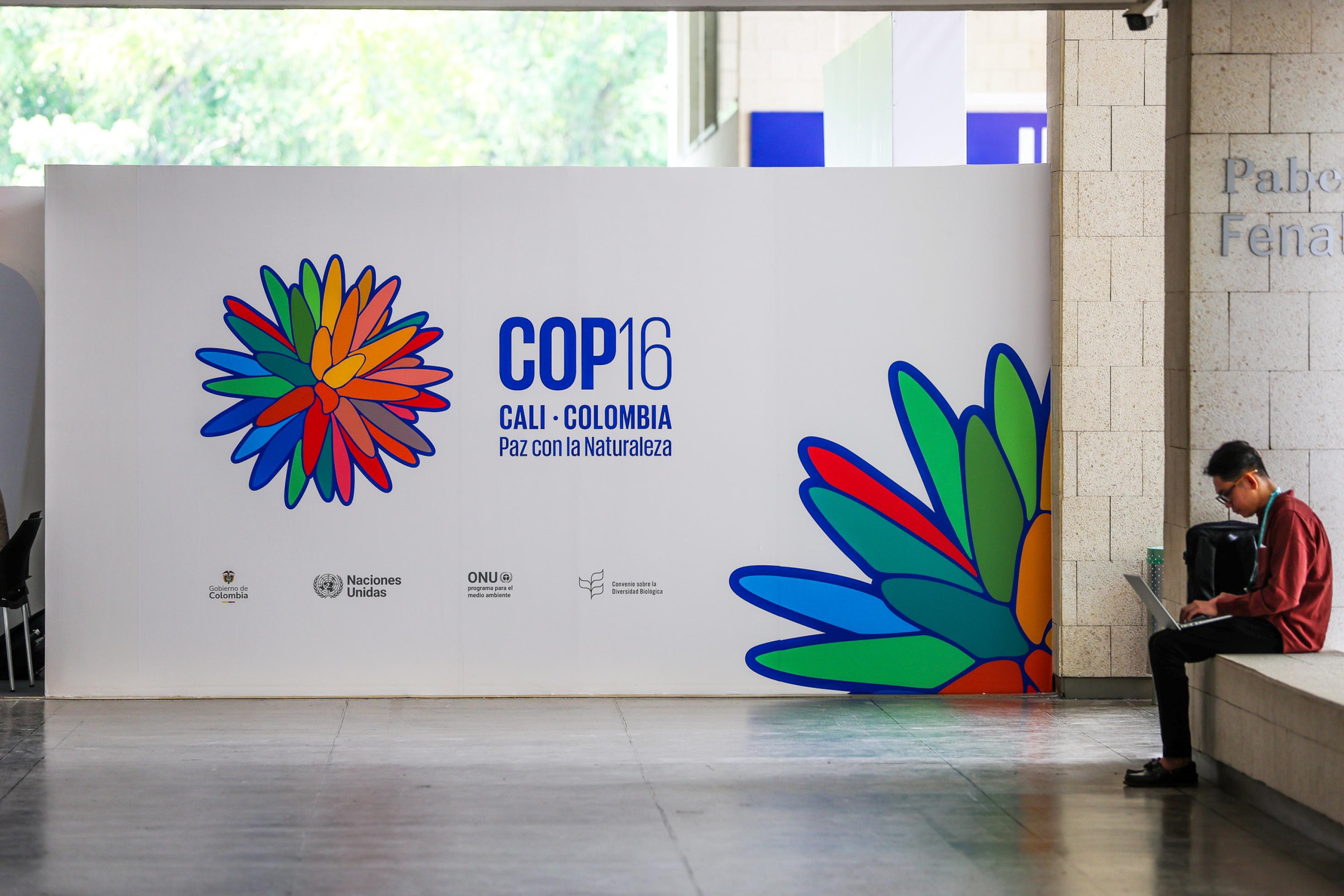 Ein Mensch sitzt auf einem Flur, im Hintergrund das Logo der Cop, eine stilisierte Blume