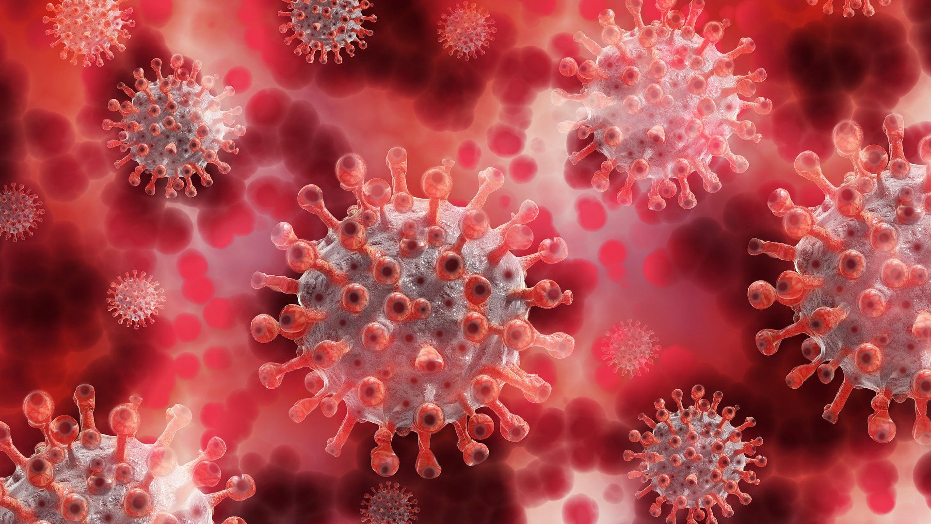 Dargestellt ist eine künstlerische Darstellung von kugelförmigen Viren mit dornenartigen Fortsätzen auf der Oberfläche in der Art von Coronaviren.