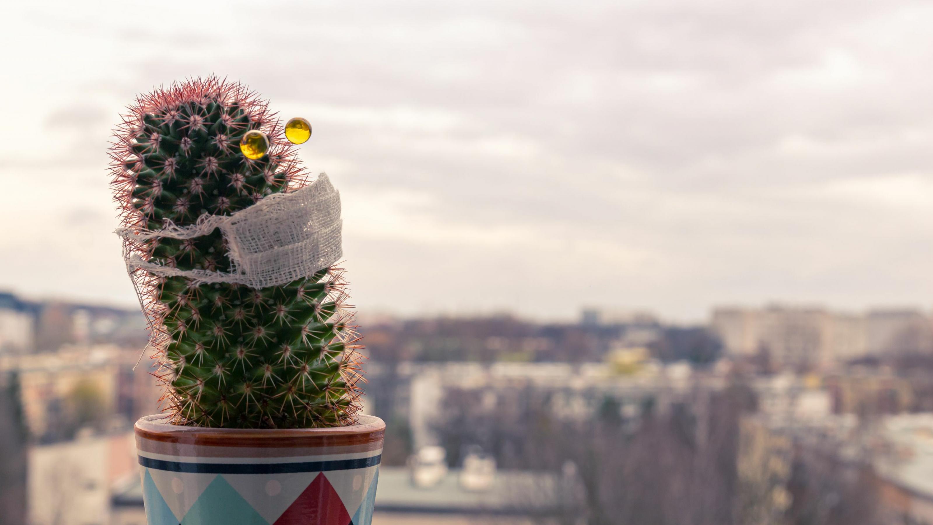 Ein Kaktus mit Mundschutz und aufgesteckten Perlen als Augen steht auf einem Balkon, im Hintergrund ist die Silhouette einer Stadt.