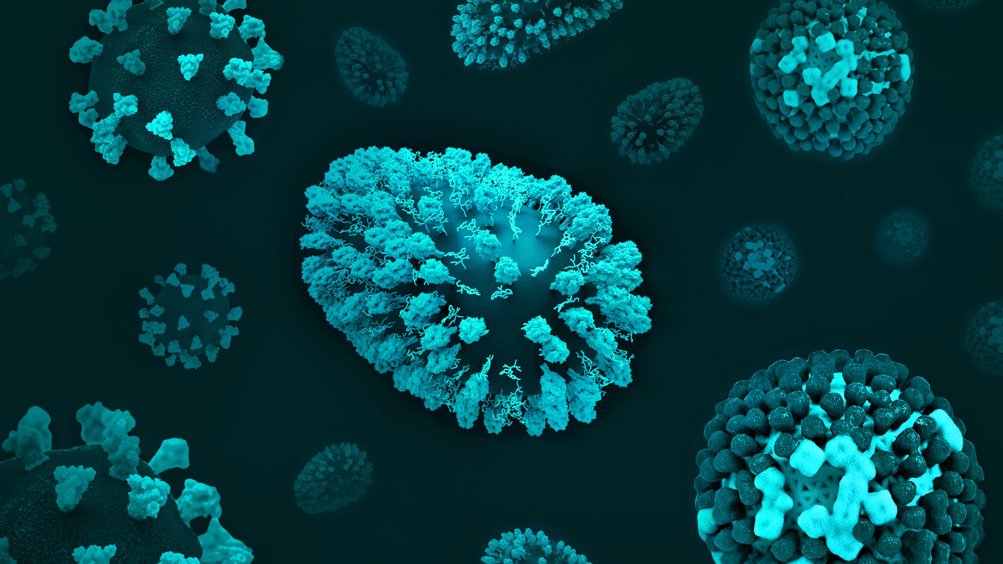 Computer generiertes Bild dreier Viren: Links Corona mit hellgrünem Spike-Protein auf der Oberfläche, und er Mitte das längliche RSV, rechts das Grippevirus mit zwei verschiedenen Oberflächenproteinen