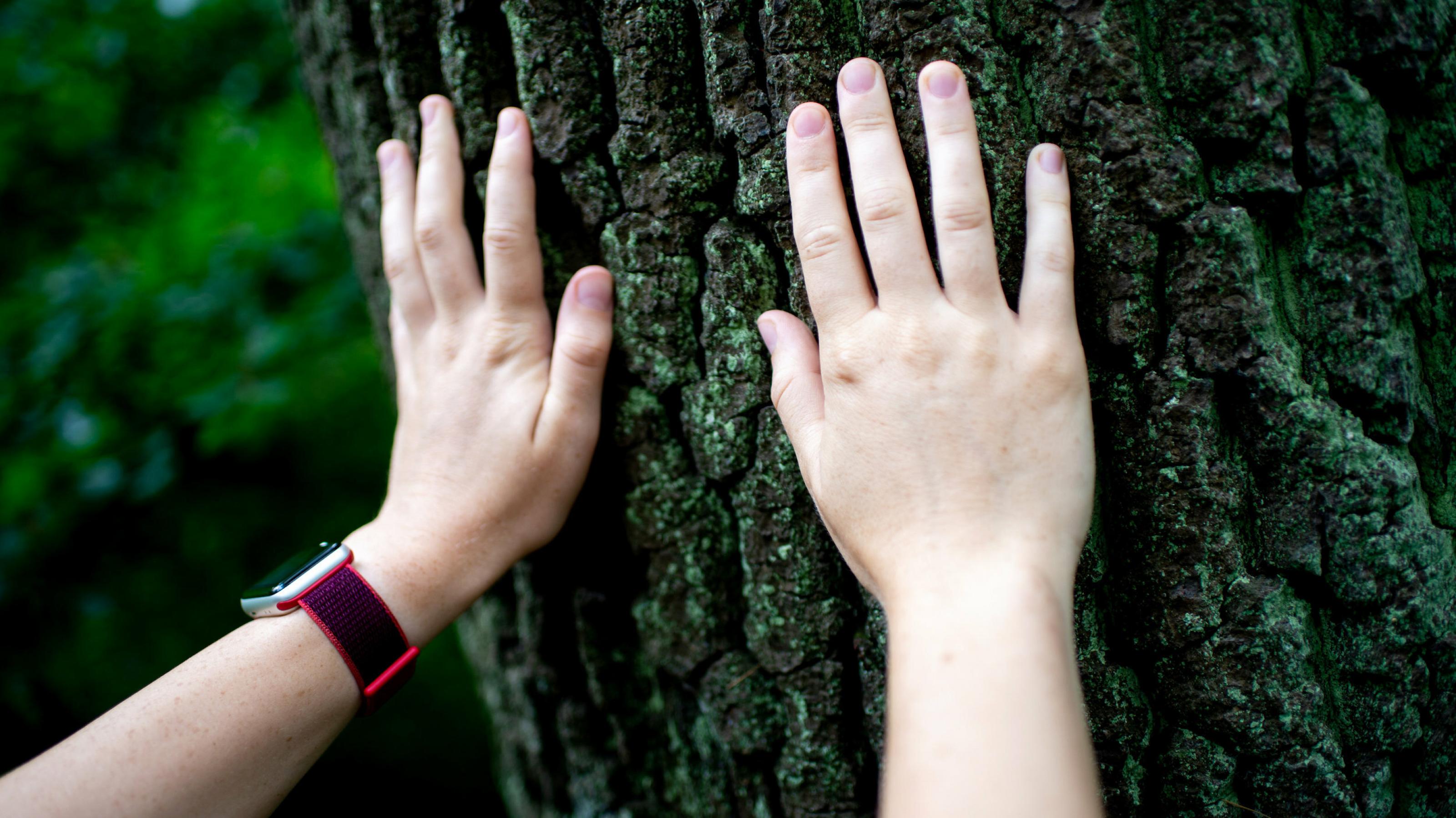 Eine junge Frau erfühlt die Rinde eines Baumes mit ihren Händen.