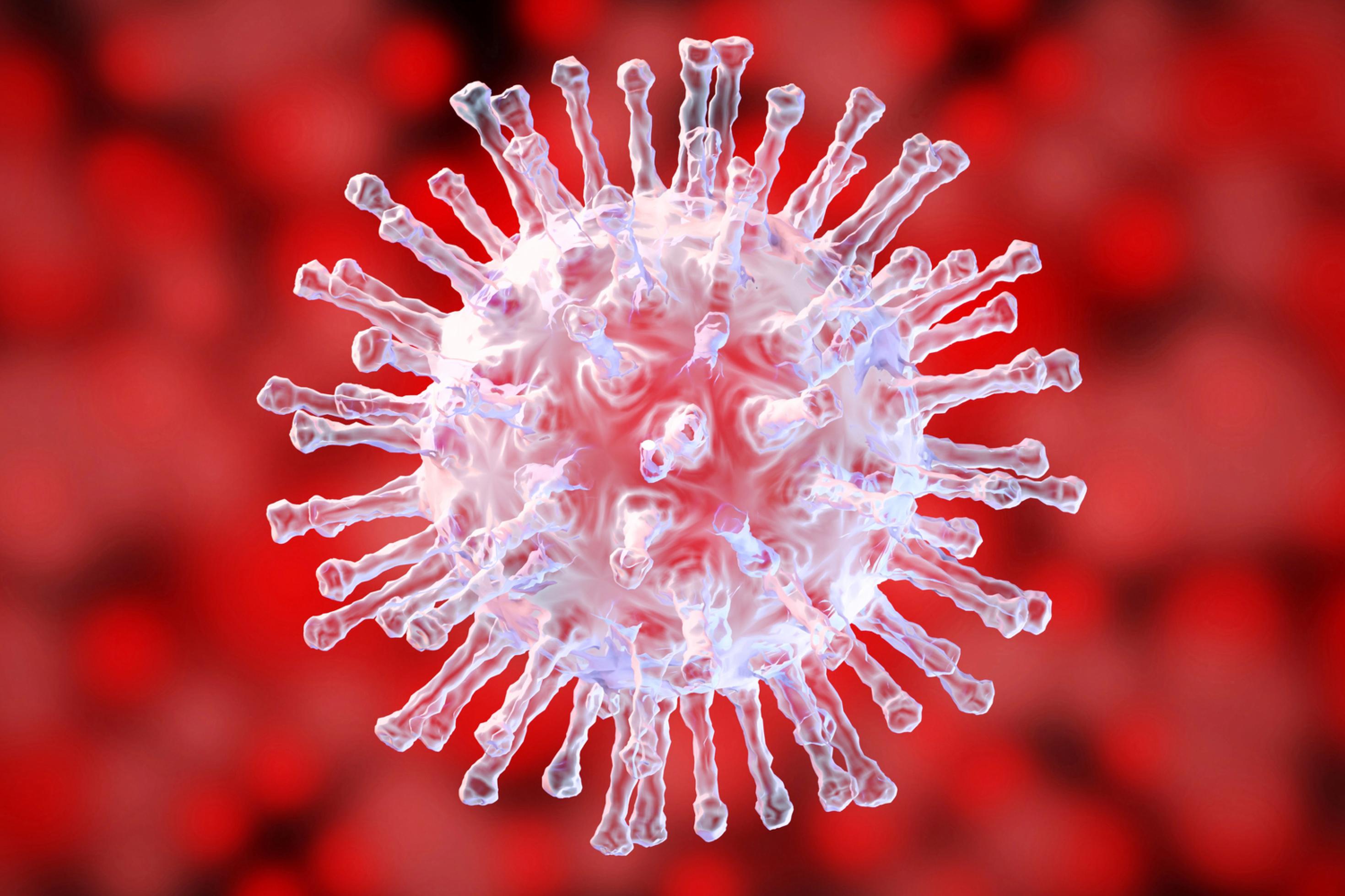 Symbolbild: Das Coronavirus SARS-CoV-2 unterm Mikroskop, vor rotem Hintergrund.