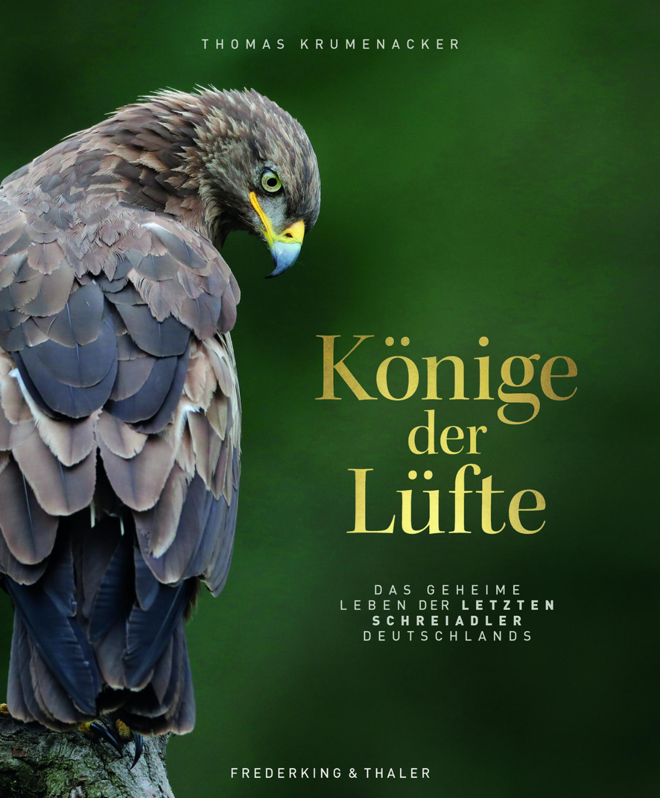 Das Cover des Buchs „Könige der Lüfte“ zeigt einen Adler.