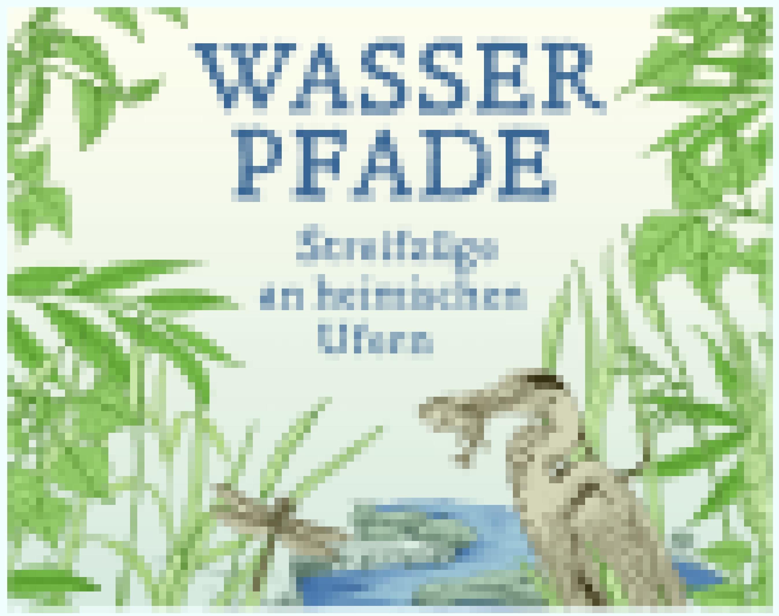 Cover von Thomas Schäfers „Wasserpfade“.