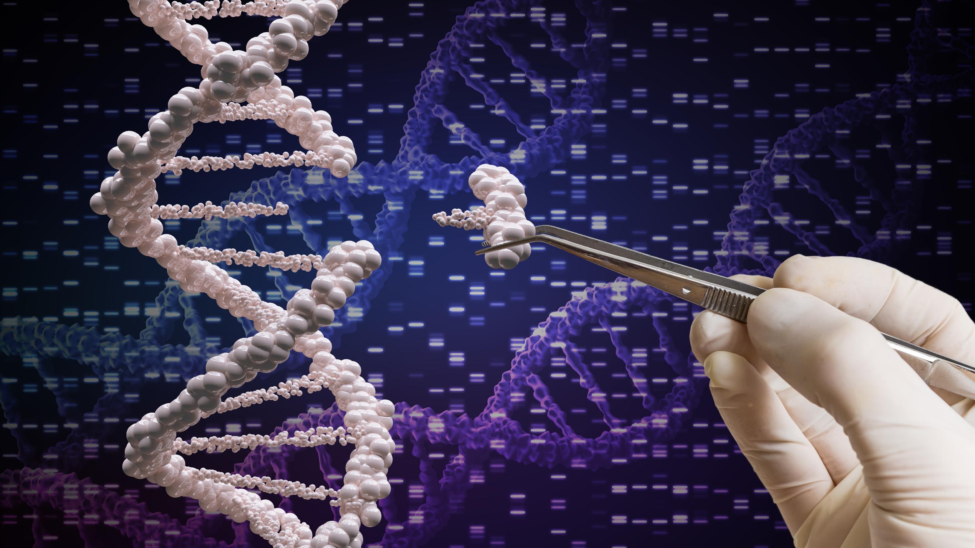 Das Symbolbild macht den Einsatz der  Genschere Crispr/Cas in der Gentechnik verständlich: eine Pinzette entfernt ein Stück der DNA im Erbgut