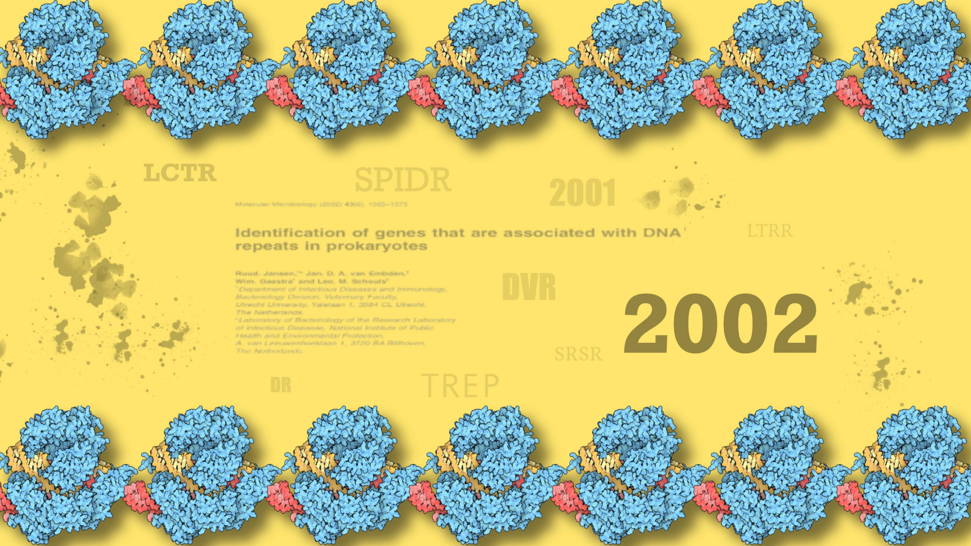 2002 erfuhr die Welt vom Namen CRSPR. Zwei Wissenschaftler hatten sich darauf geeinigt, nachdem es zuvor viele andere Abkürzungen wie SPIDR, DVR, SRSR oder DR gegeben hatte.