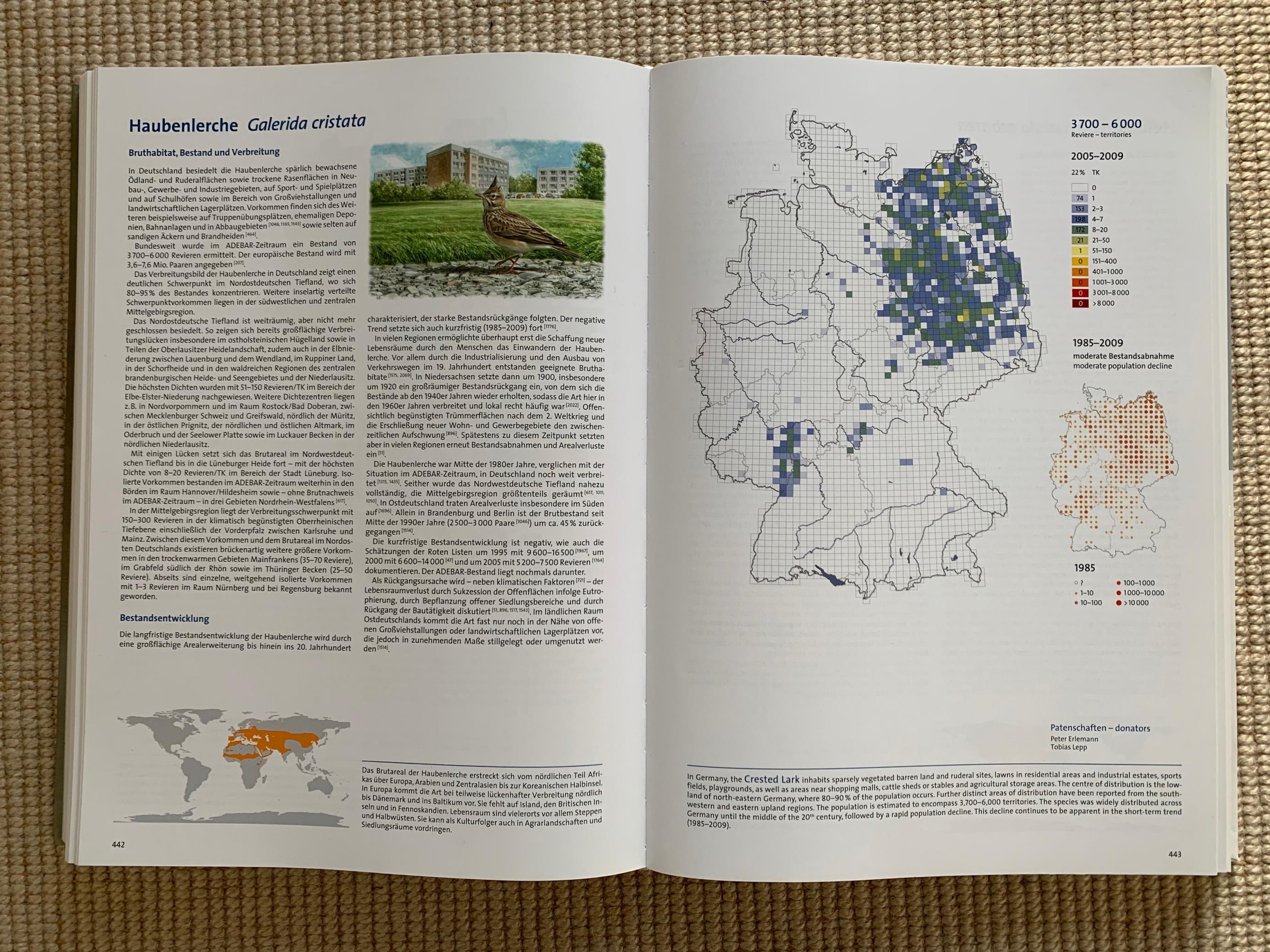 Aufgeschlagene Doppelseite des ADEBAR, rechts eine Verbreitungskarte der Haubenlerche, links der Begleittext dazu.