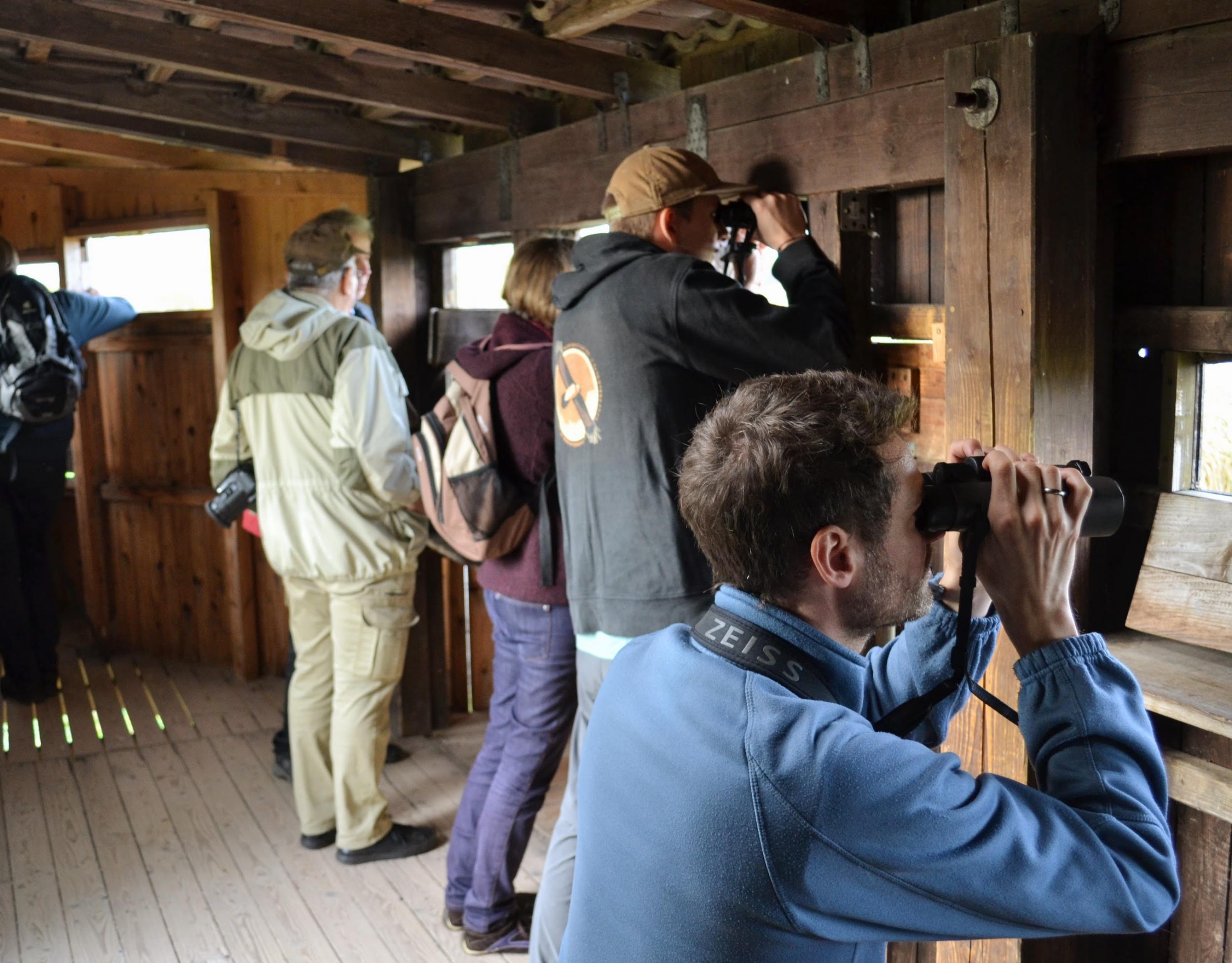 Eine Gruppe von Vogelbeobachtern schaut mit Ferngläsern durch die Luken in der Holzwand eines Beobachtungsstands.