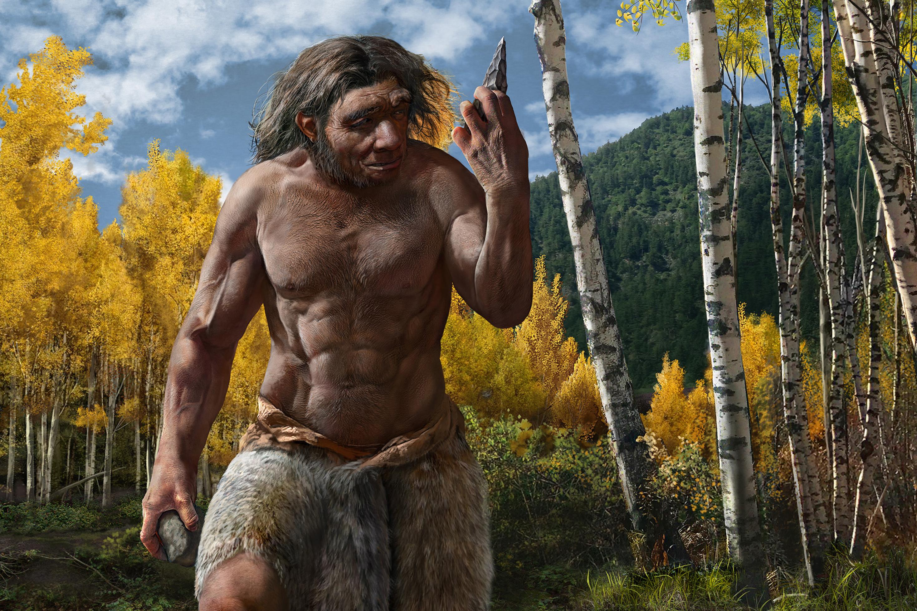 Die Illustration zeigt einen Mann mit dunklen, langen Haaren und Bart, nacktem Oberkörper und einer Fellhose. In der einen Hand hält er eine bearbeitete Steinspitze, auf die er schaut. Er befindet sich hin einer bewaldeten, bergigen Landschaft.