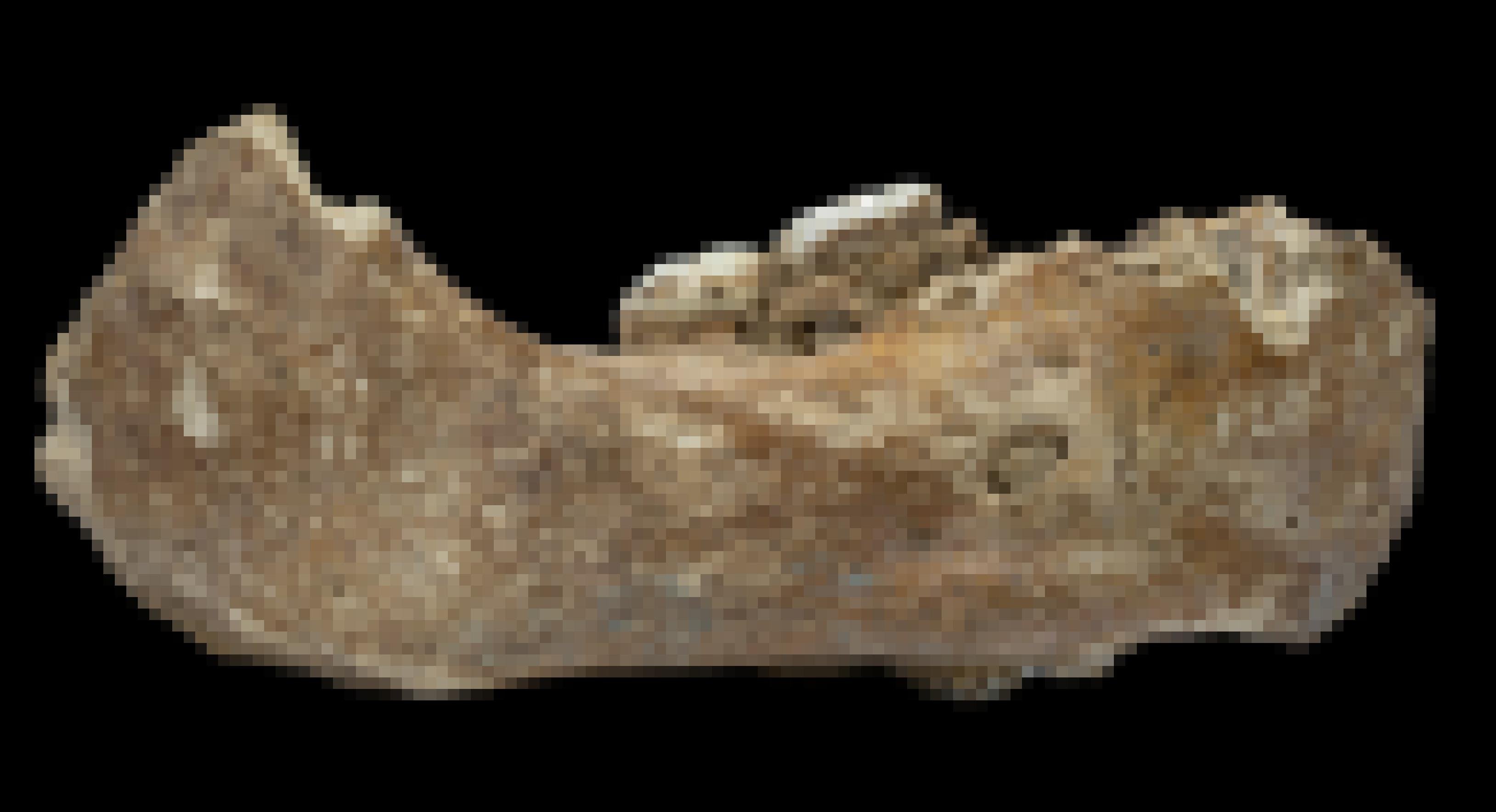 Abgebildet ist der kräftig gebaute, von der Seite fotografierte Unterkiefer eines Menschen, aus dem zwei große Backenzähne herausragen. Er wurde in einer Höhle im Hochland von Tibet entdeckt und ist rund 160.000 Jahre alt. Protein-Analysen erweisen ihn als Kiefer eines Denisova-Urmenschen.