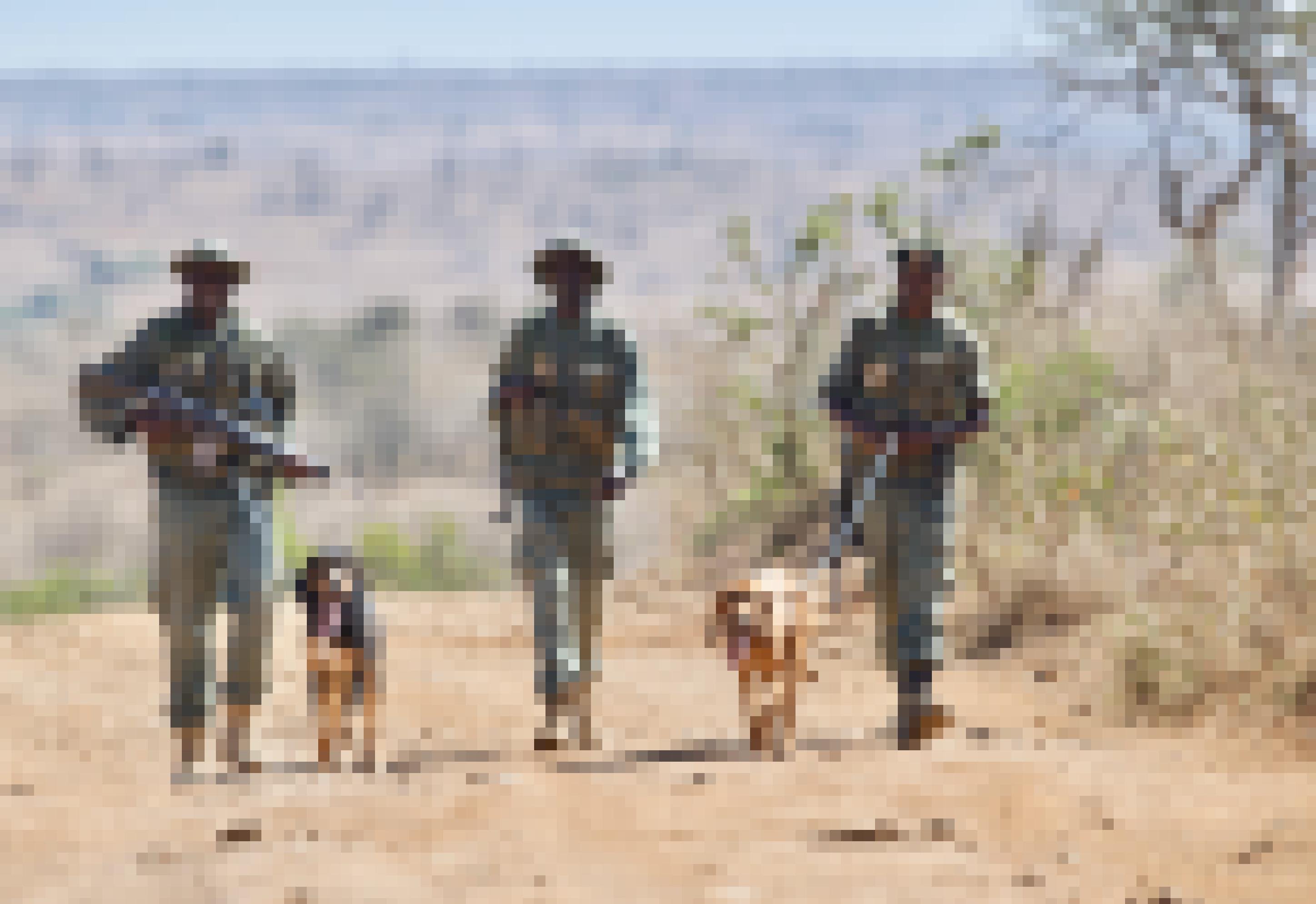 Drei Ranger sind mit den beiden Spürhunden von Loisaba unterwegs.