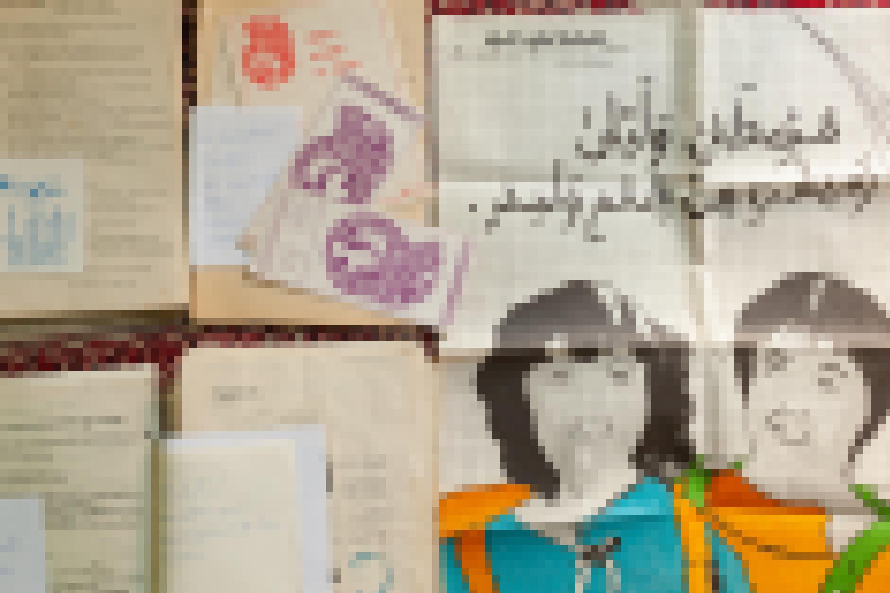 Sammlung von Dokumenten algerischer Frauenrechtsorganisationen und feministischer Kollektive aus den 1990er Jahren, Algier 2020