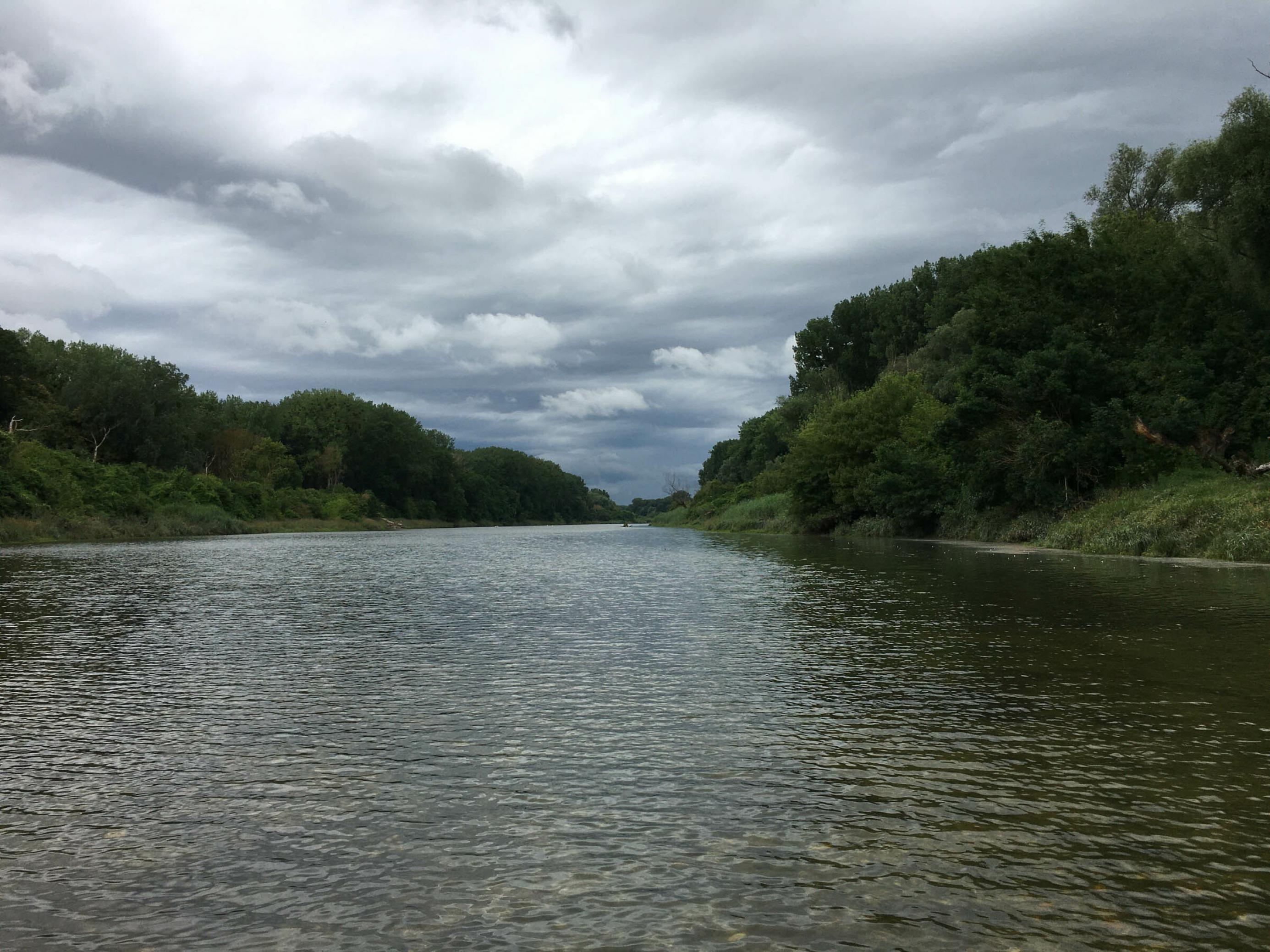 Breiter Altarm der Donau im Nationalpark mit Auwald links und rechts.