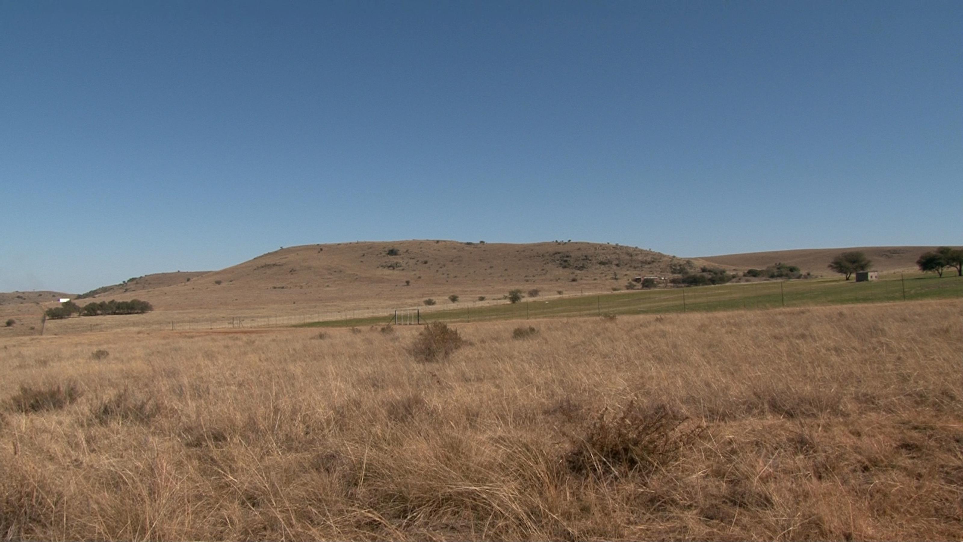 Das Foto zeigt eine trockene, braune Graslandschaft mit einzelnen Büschen und Bäumen dazwischen, im Hintergrund sanft geschwungen Hügel. Hier entdeckten Forschende in Karsthöhlen zahlreiche Relikte aus der menschlichen Verwandtschaft. Die Drimolen-Fossilienfundstätte liegt in der Nähe von Kromdraai in Südafrika.