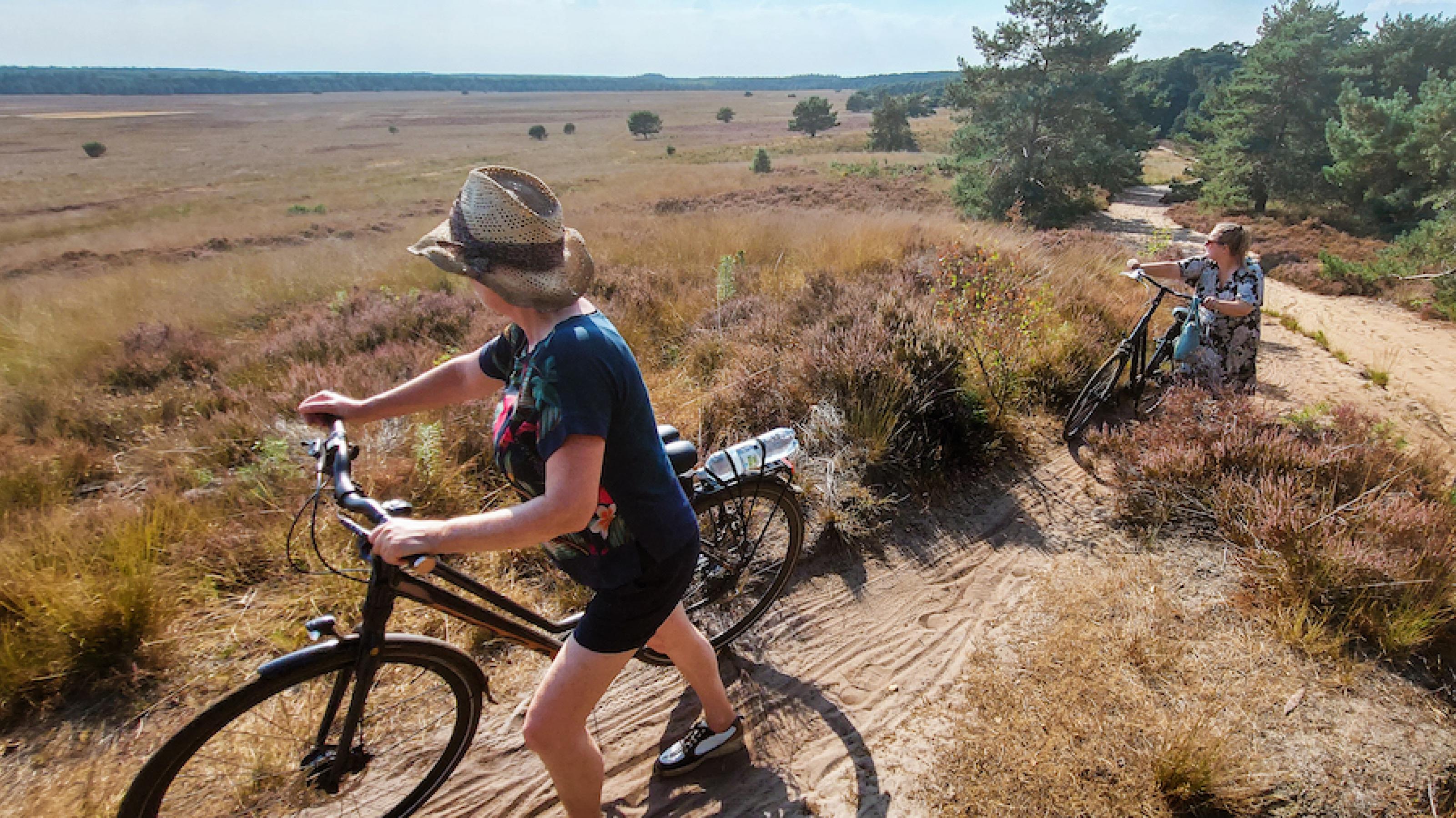 Zwei Radfahrerinnen touren durch die trockene Landschaft des niederländischen Naturschutzparks Velouwe.
